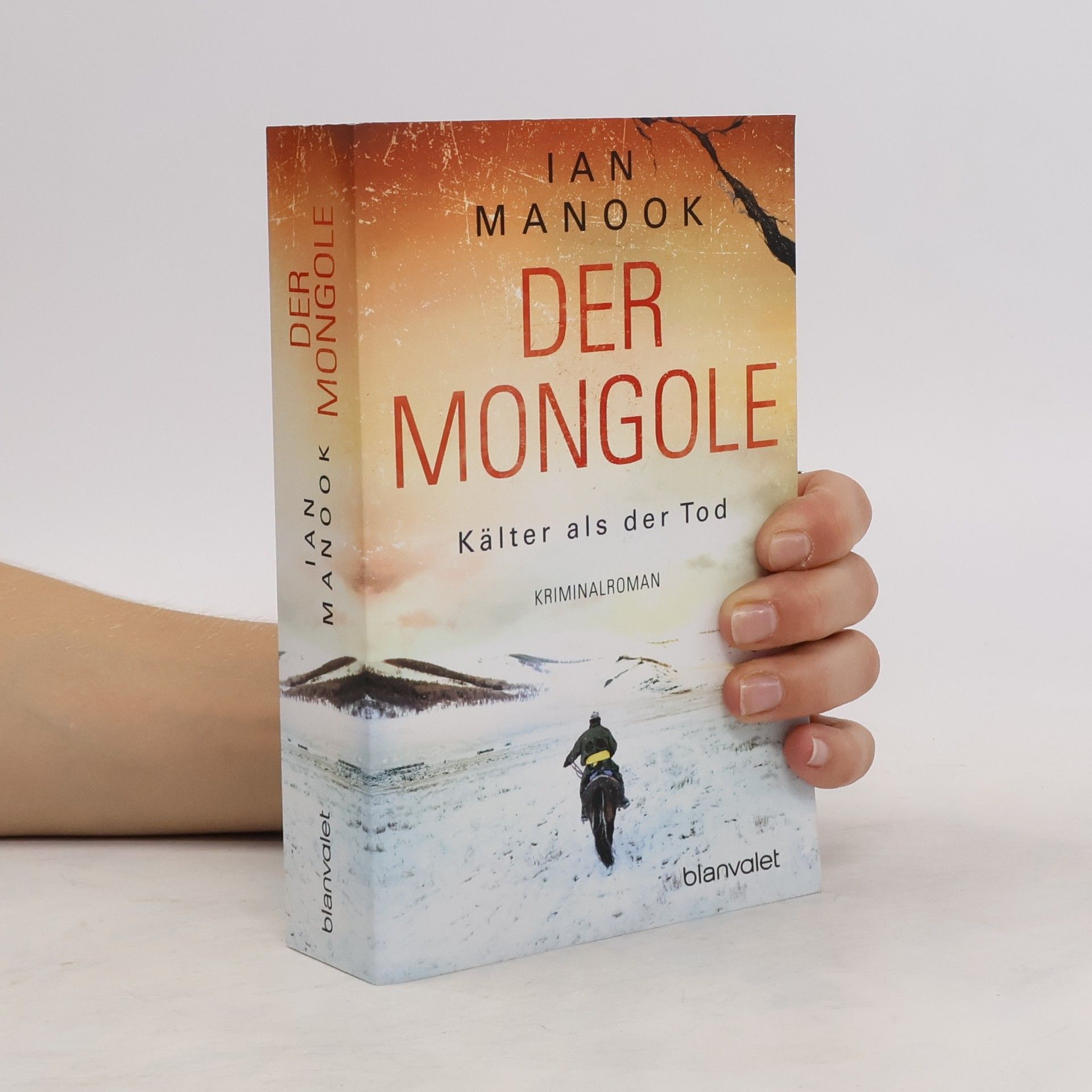 Ian Manook Der Mongole - Kälter als der Tod