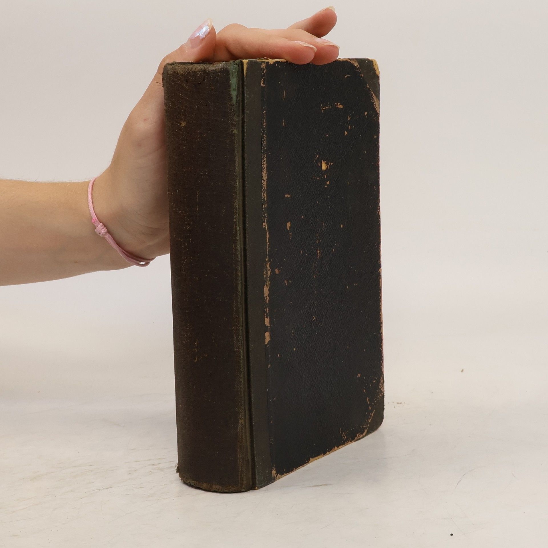 Martin Luther Heilige Schrift