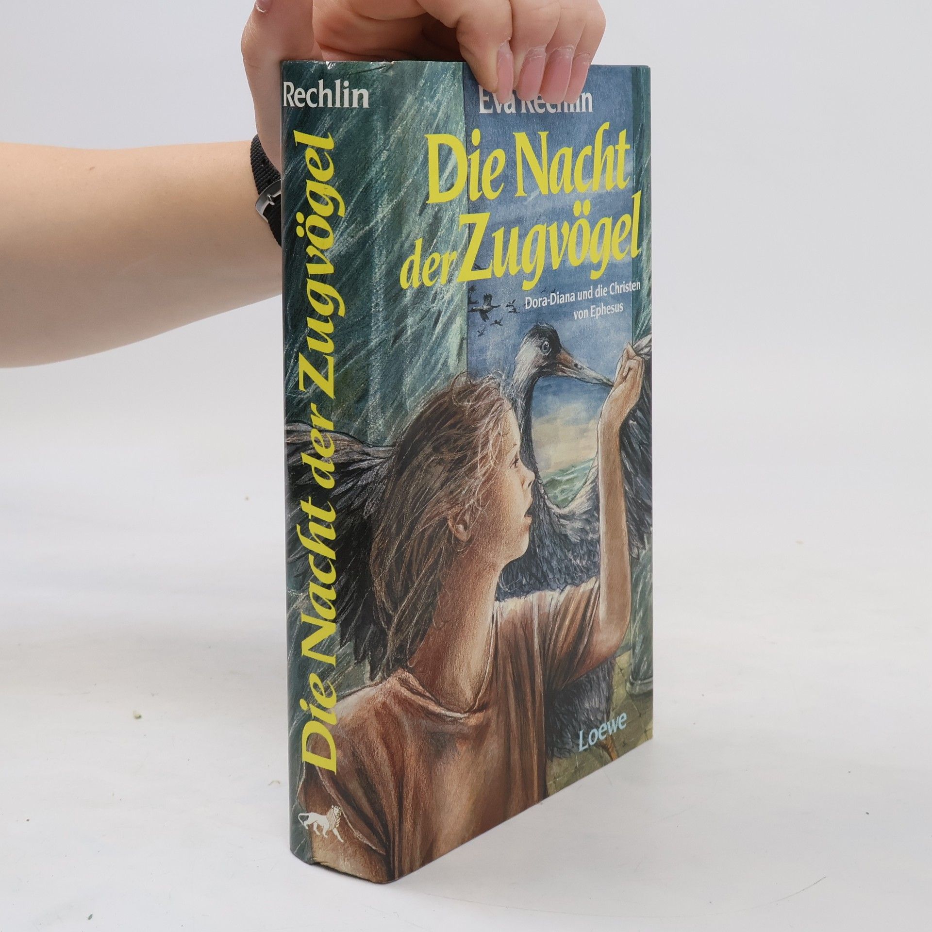 Eva Rechlin Die Nacht der Zugvögel