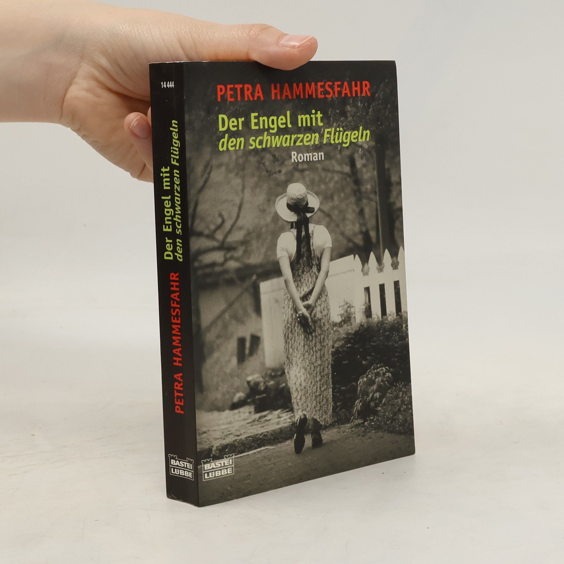 Petra Hammesfahr Der Engel mit den schwarzen Flügeln