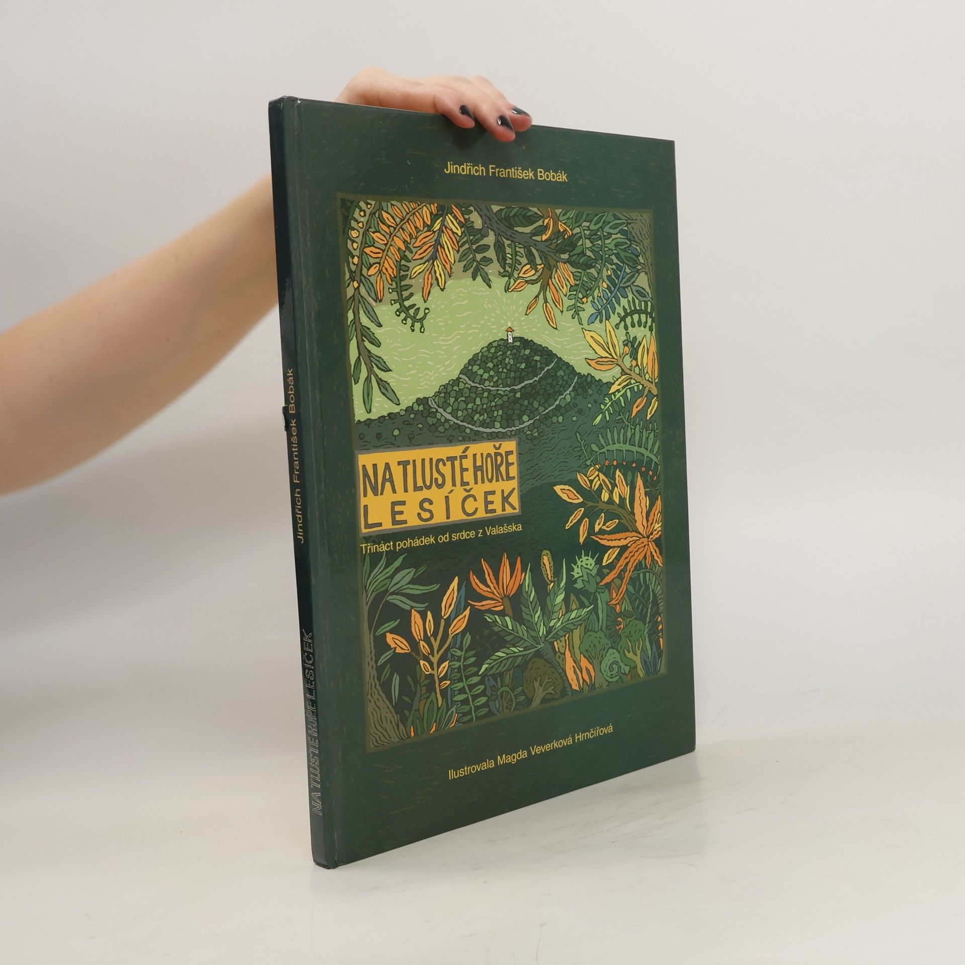 Jindřich František Bobák Na Tlusté hoře lesíček
