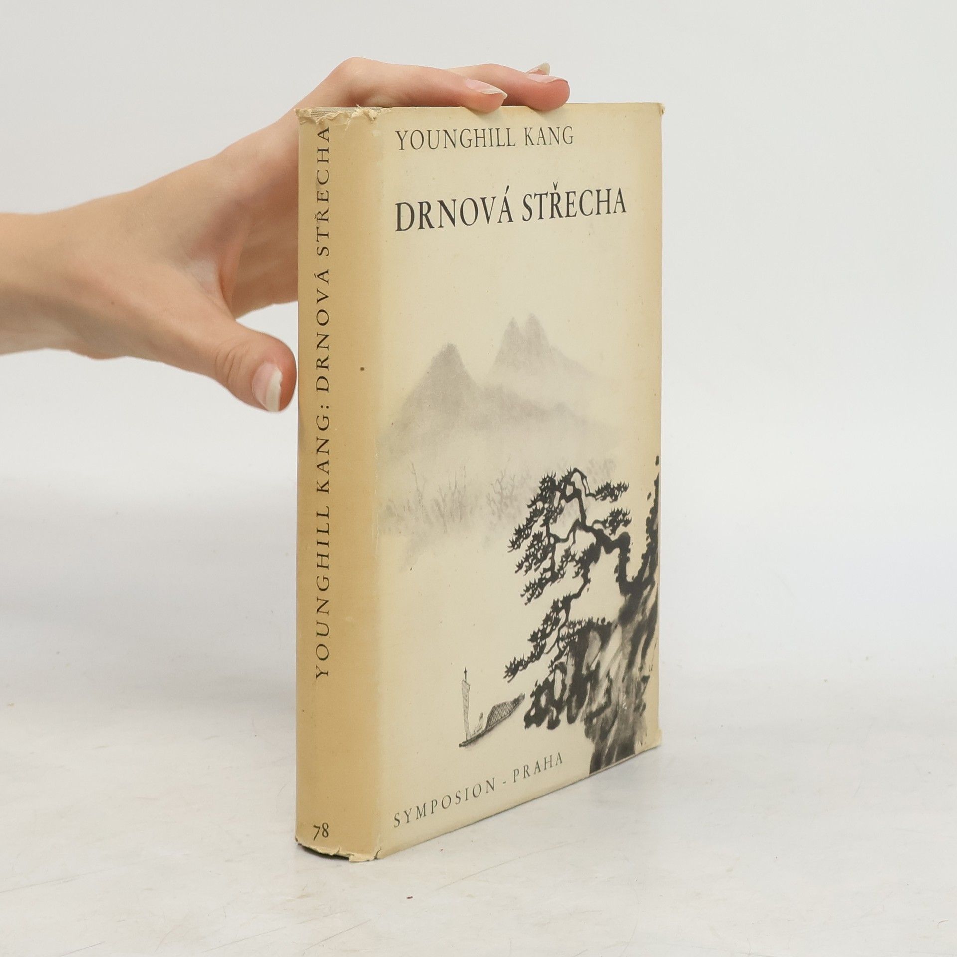 Younghill Kang Drnová střecha