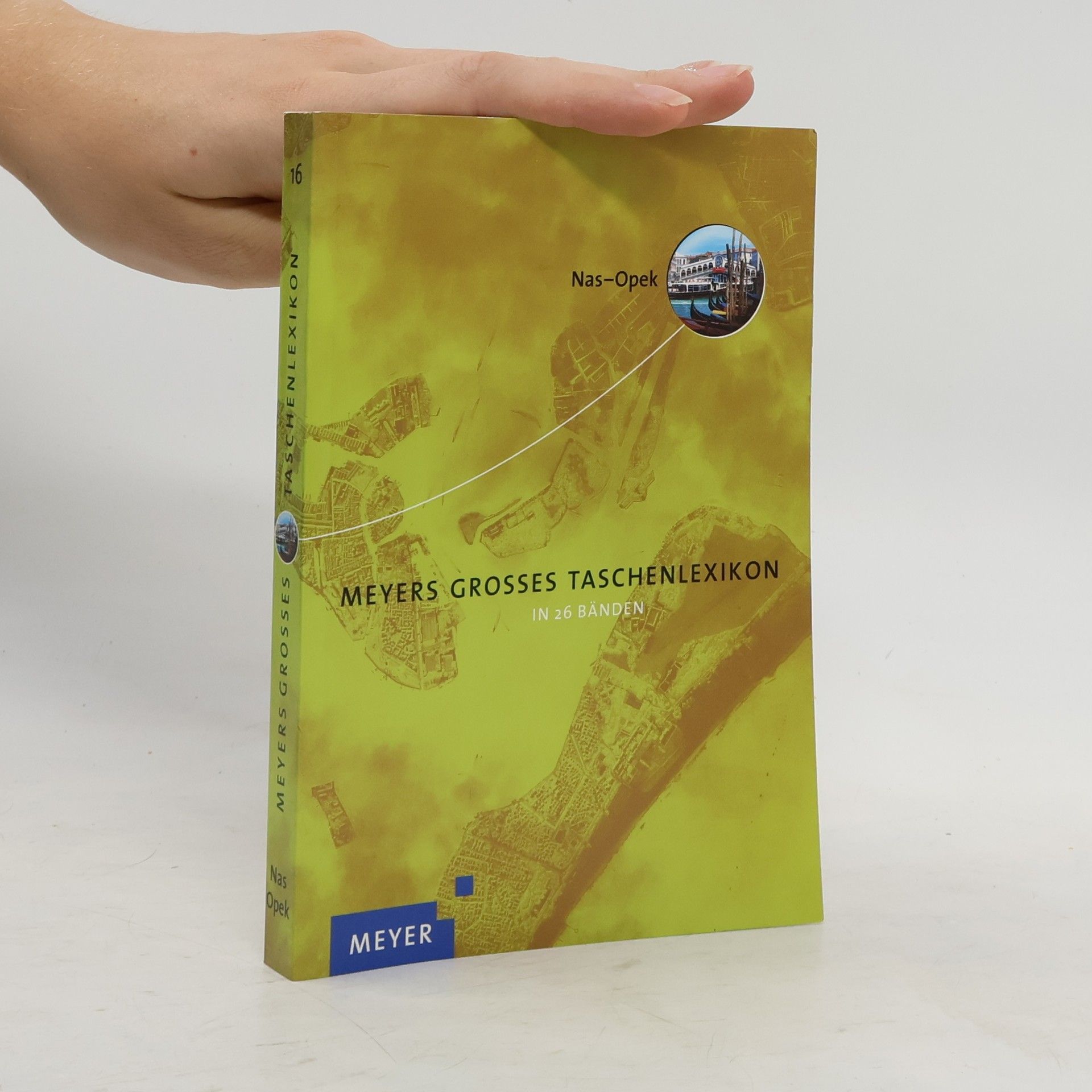 Auteurscollectief Meyers grosses Taschen-Lexikon
