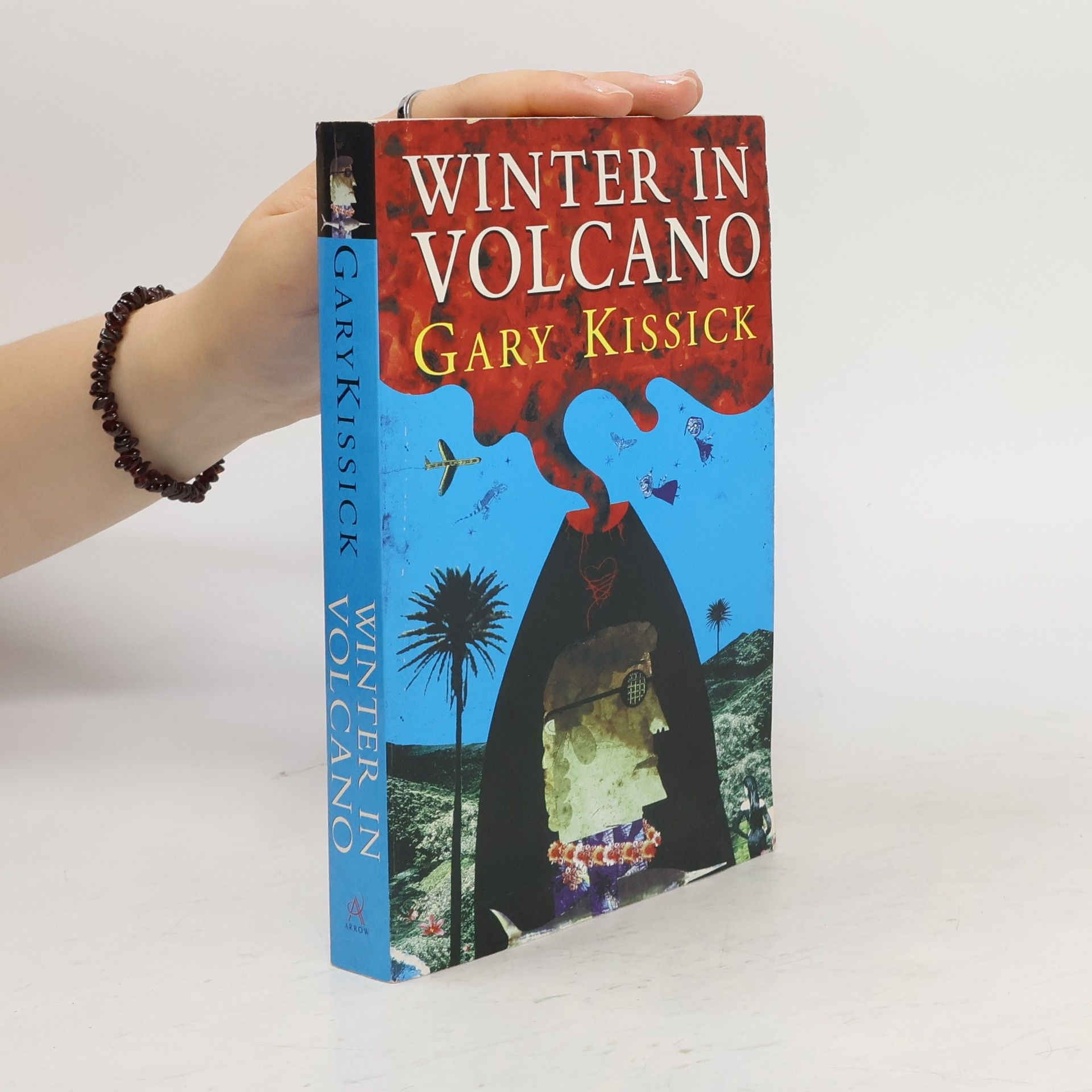 Gary Kissick Winter in Volcano