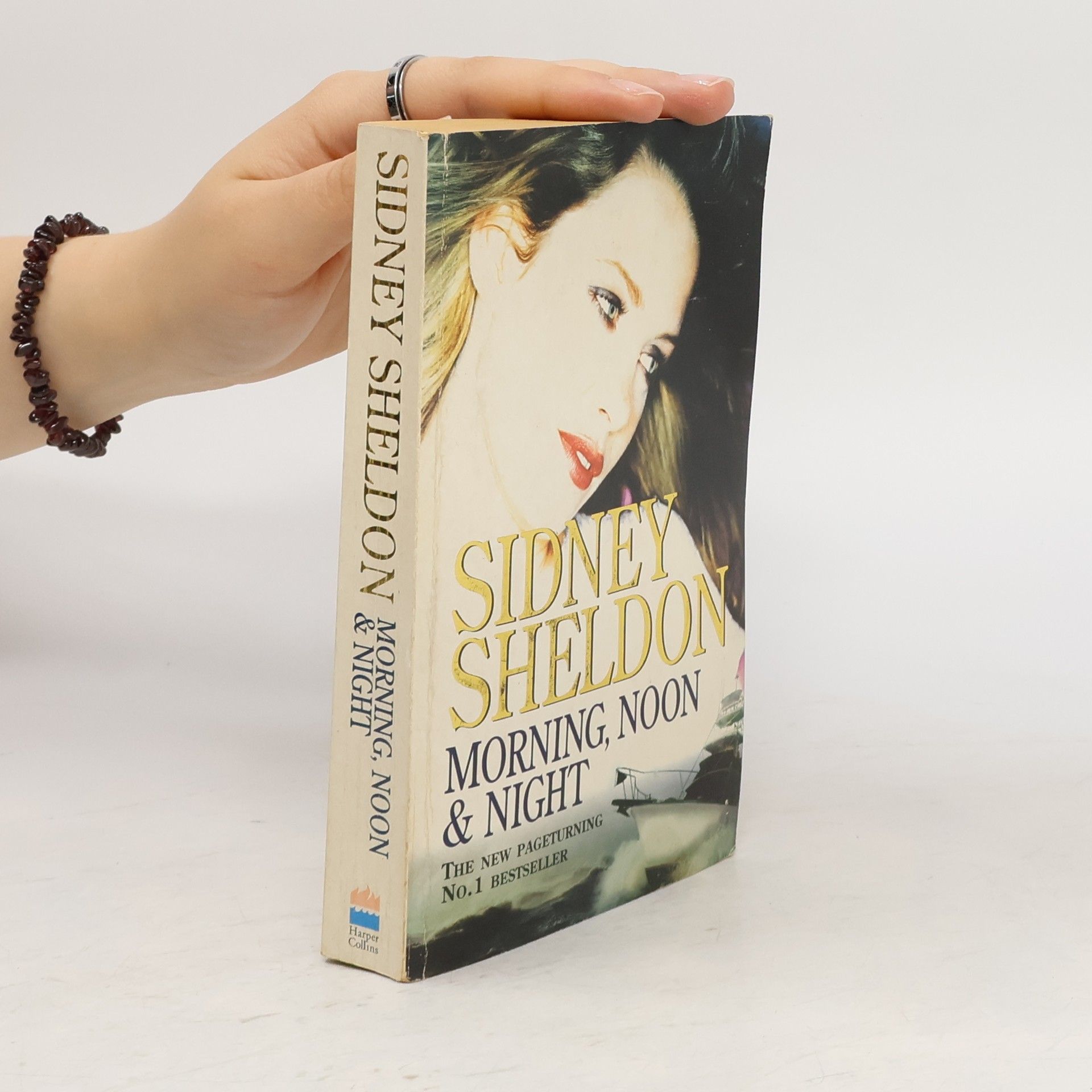 Sidney Sheldon Morning, Noon & Night