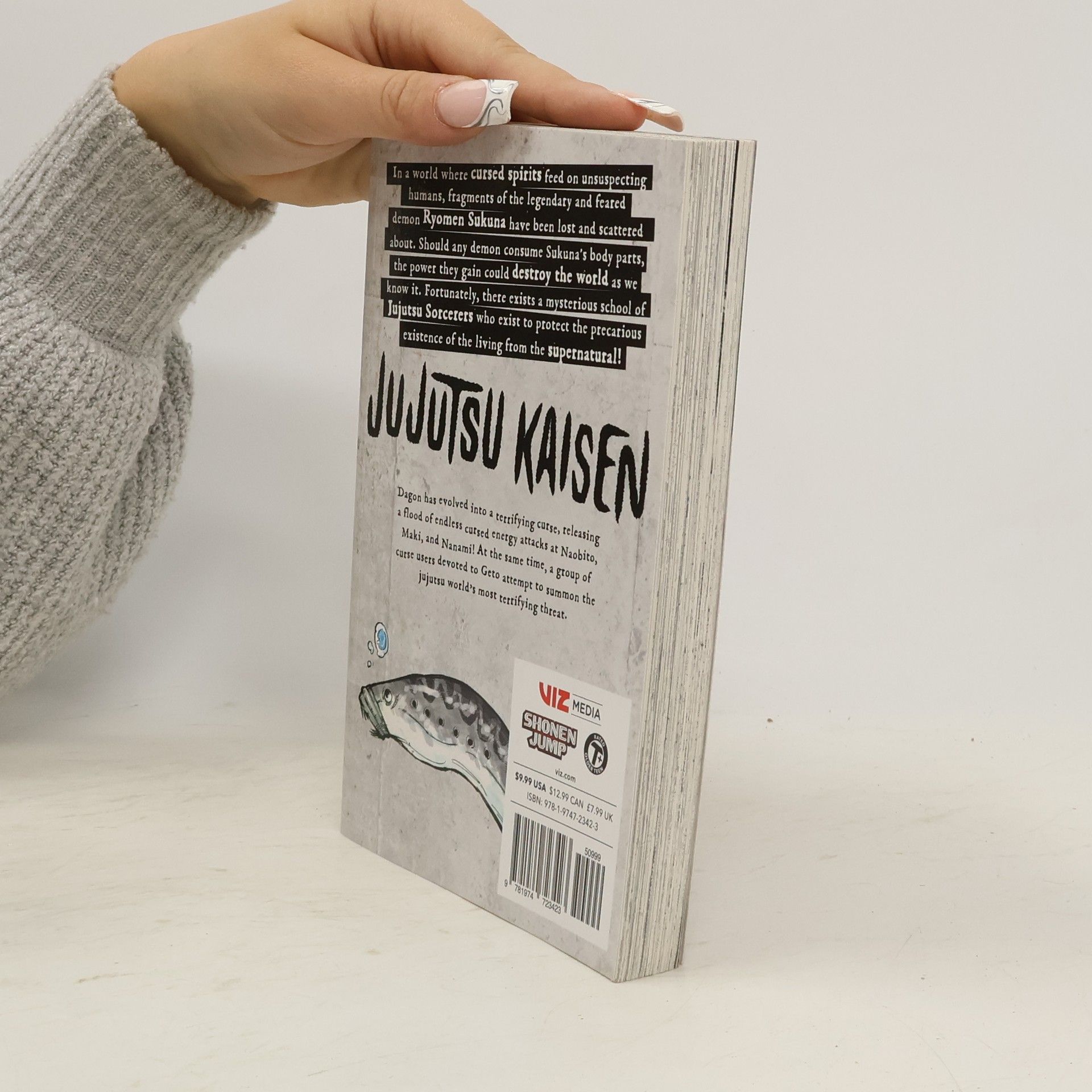 Gege Akutami Jujutsu Kaisen, Volume 13