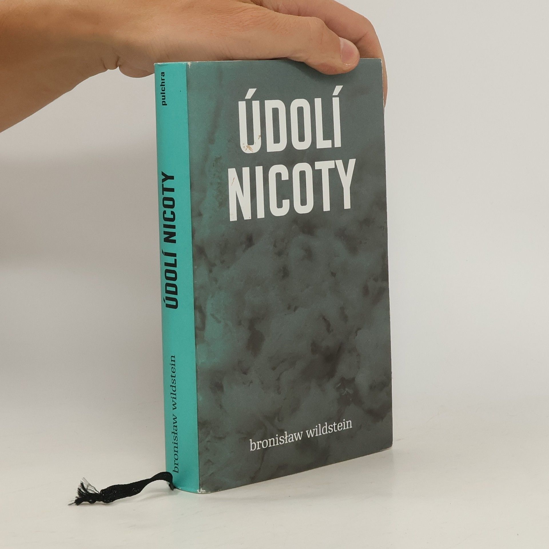 Bronisław Wildstein Údolí nicoty