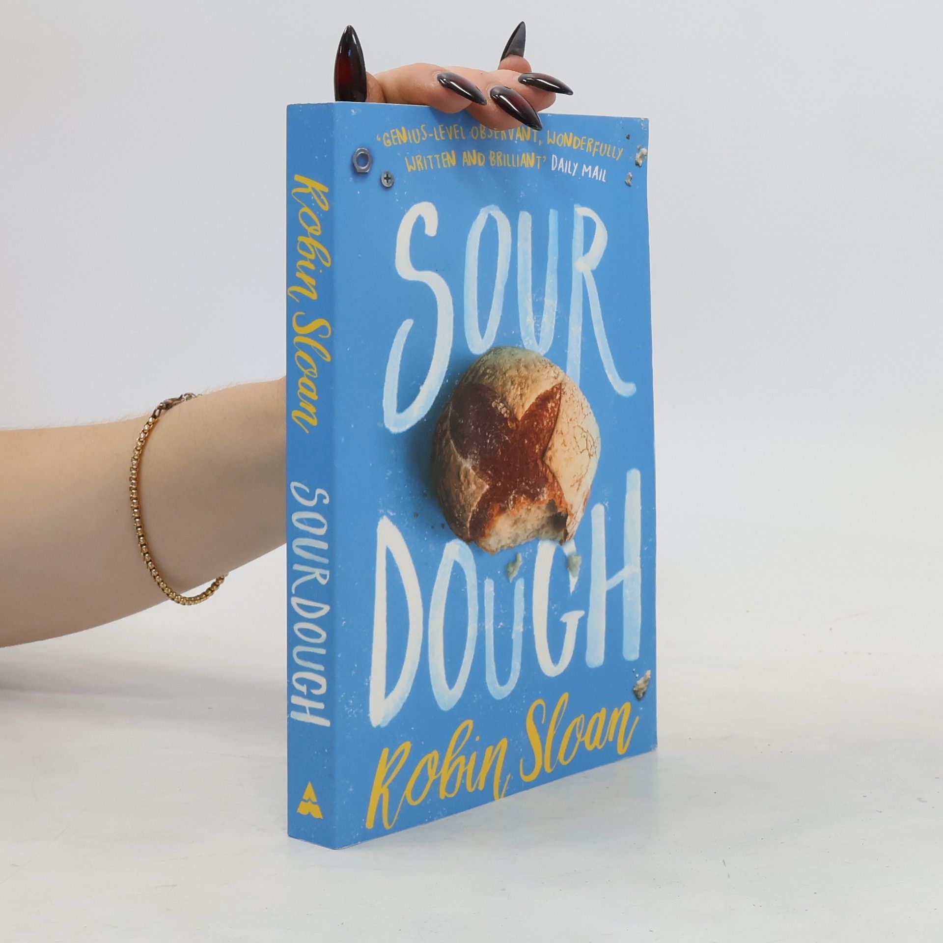Robin Sloan Sourdough