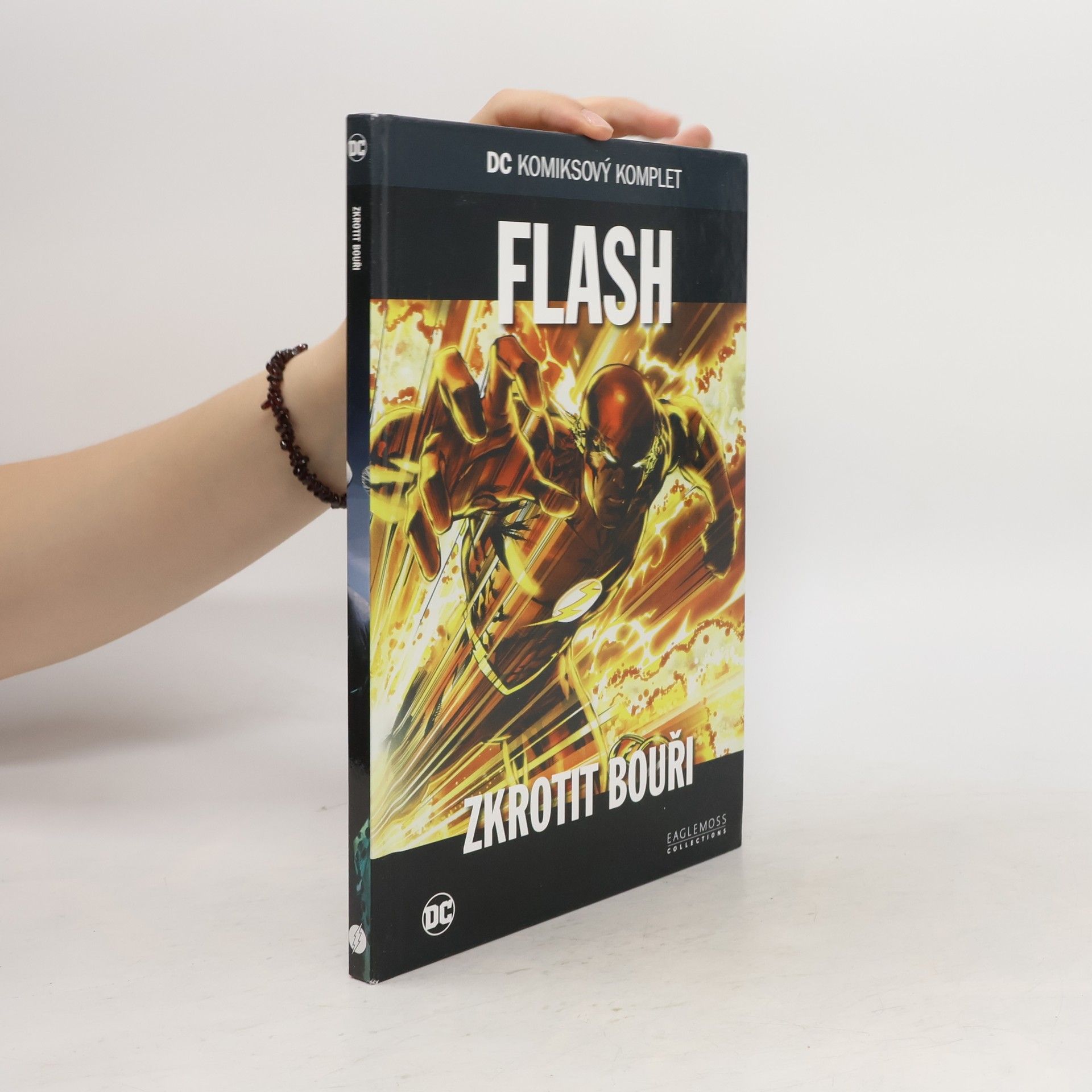 Danny Bilson Flash: Zkrotit bouři