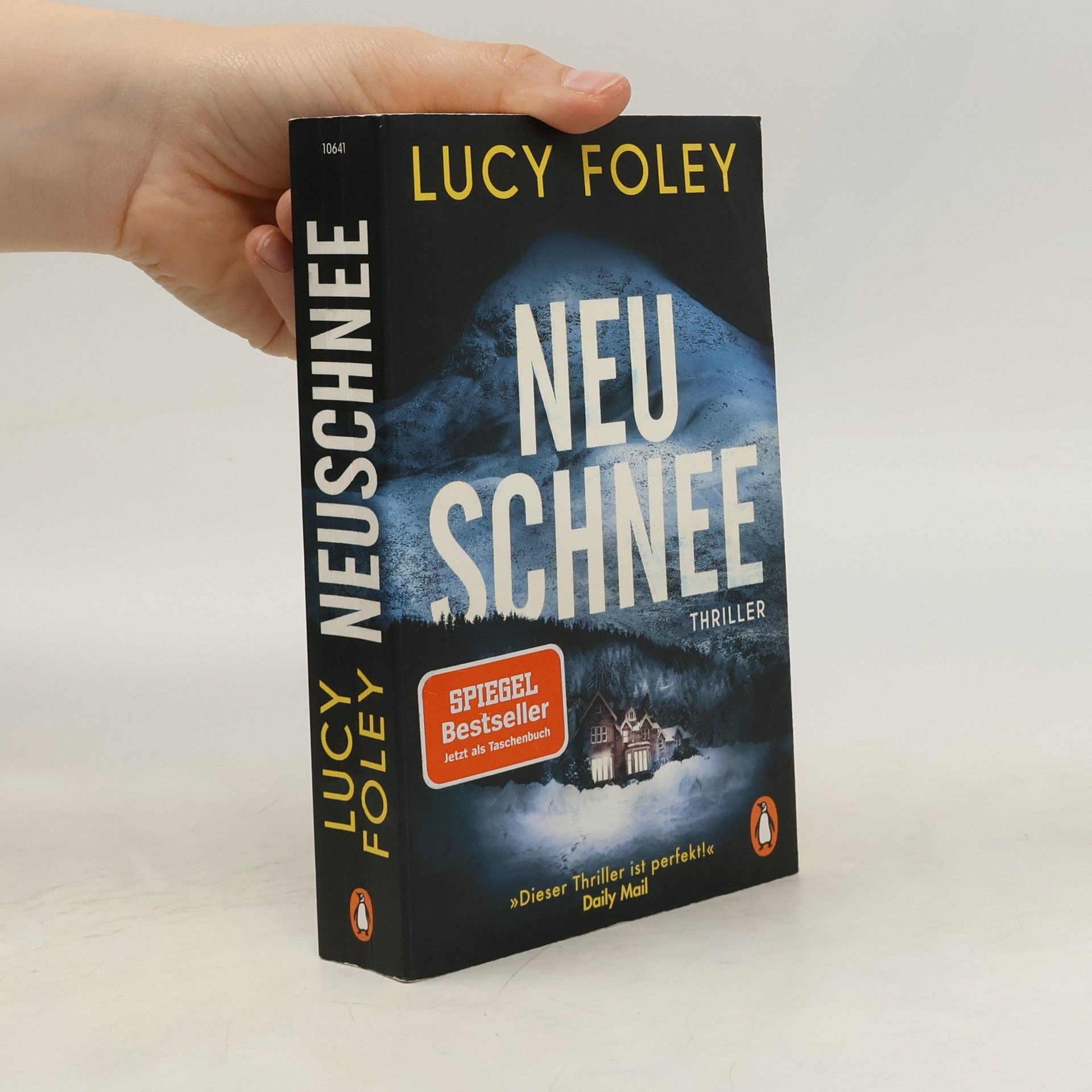 Lucy Foley Neuschnee