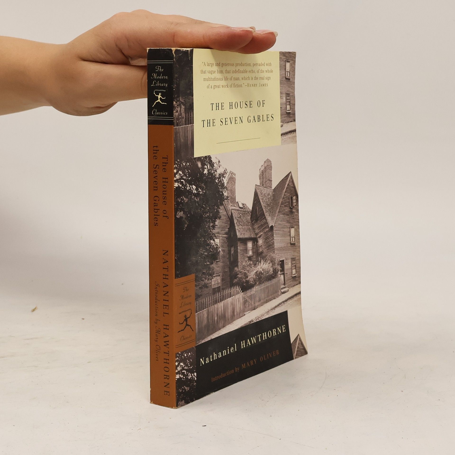 Nathaniel Hawthorne The House of the Seven Gables