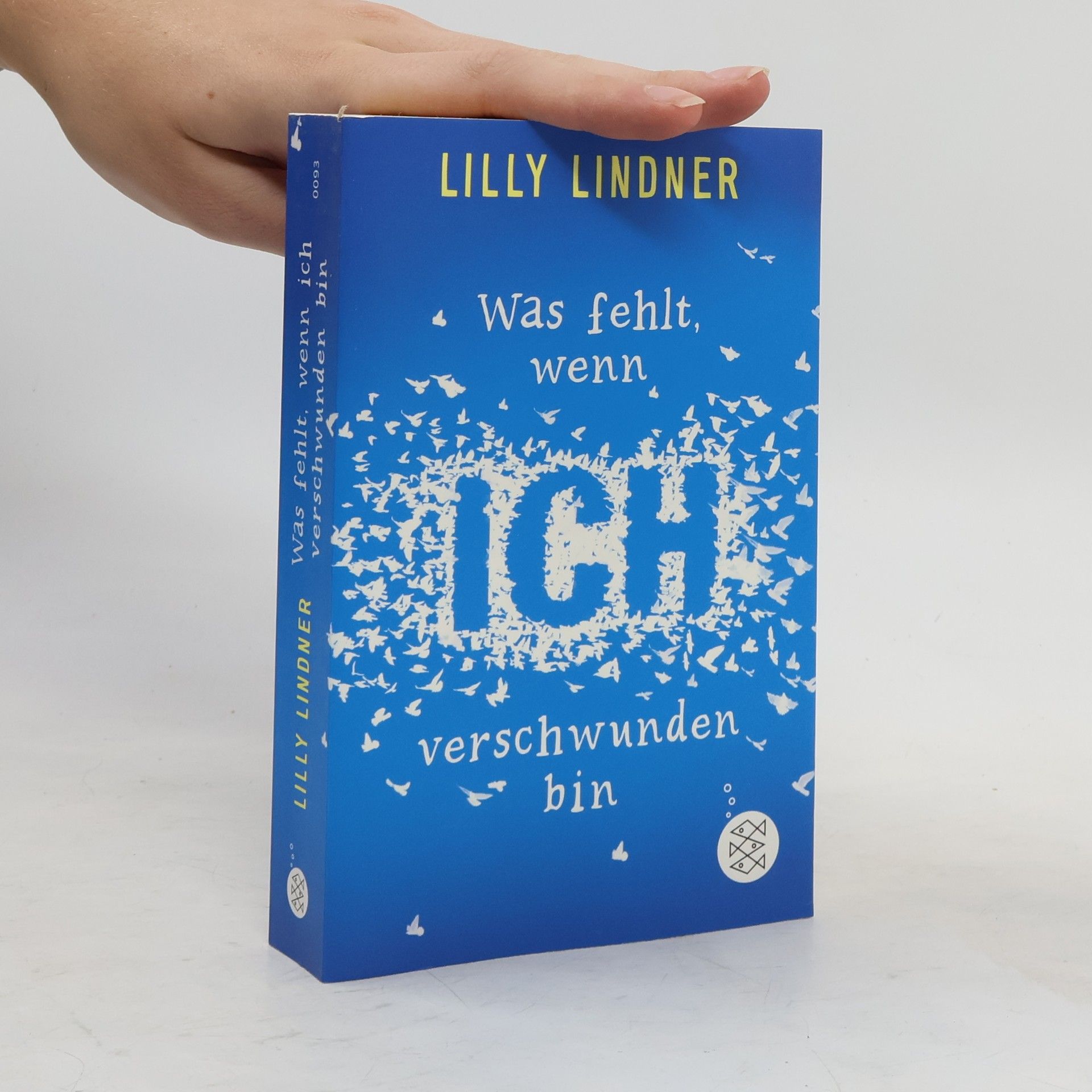 Lilly Lindner Was fehlt, wenn ich verschwunden bin