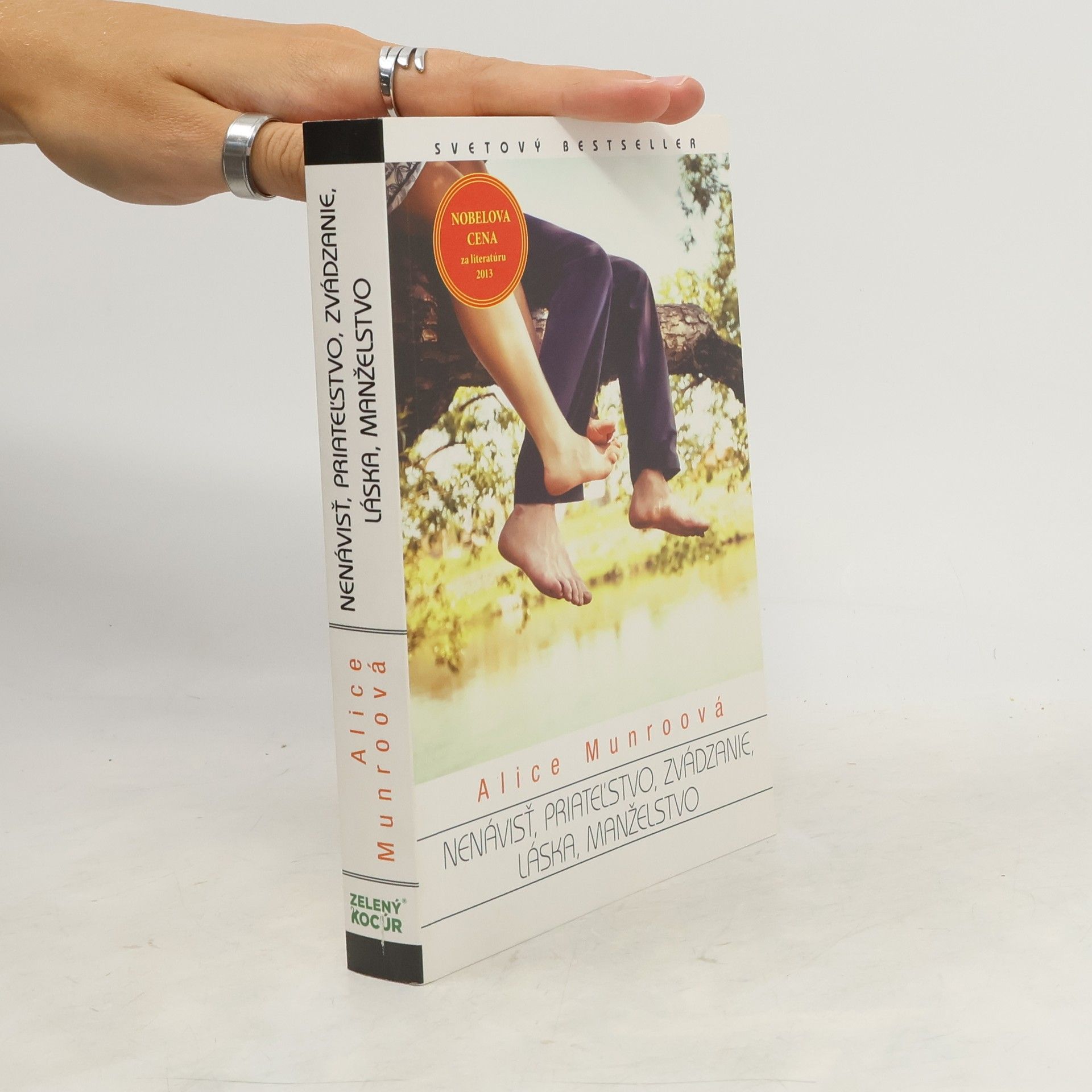 Alice Munro Nenávisť, priateľstvo, zvádzanie, láska, manželstvo