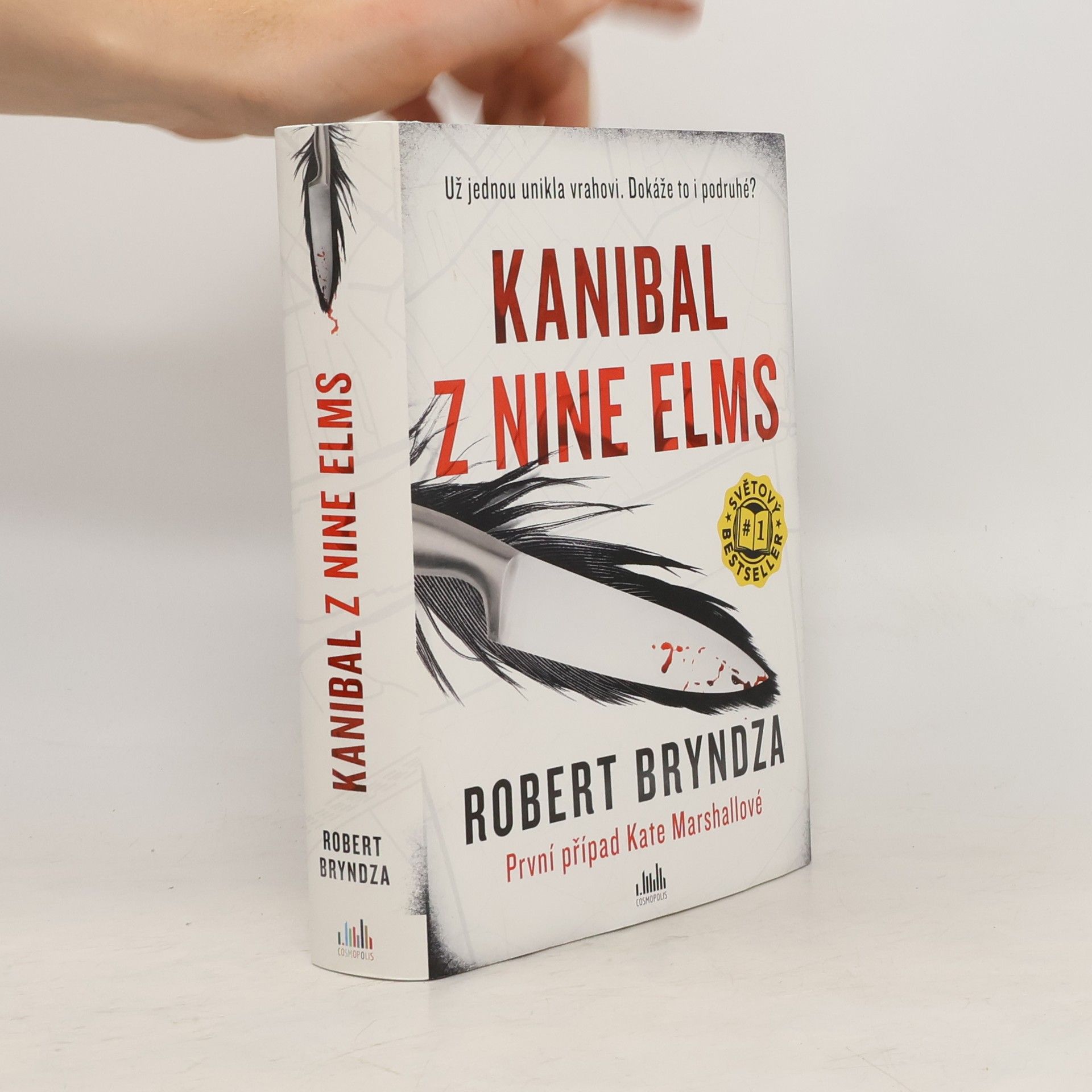 Robert Bryndza Kanibal z Nine Elms