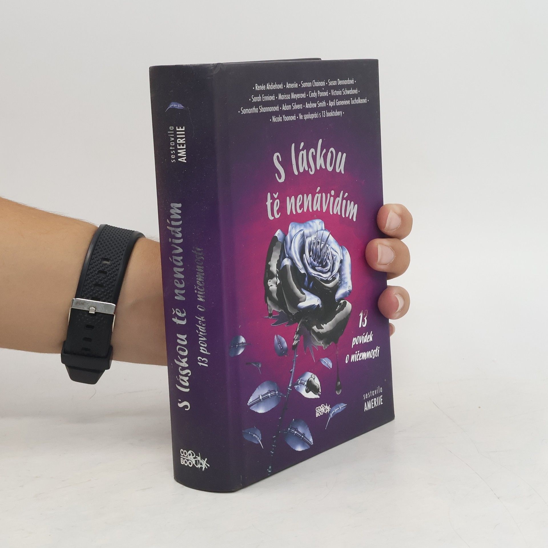 S láskou tě nenávidím