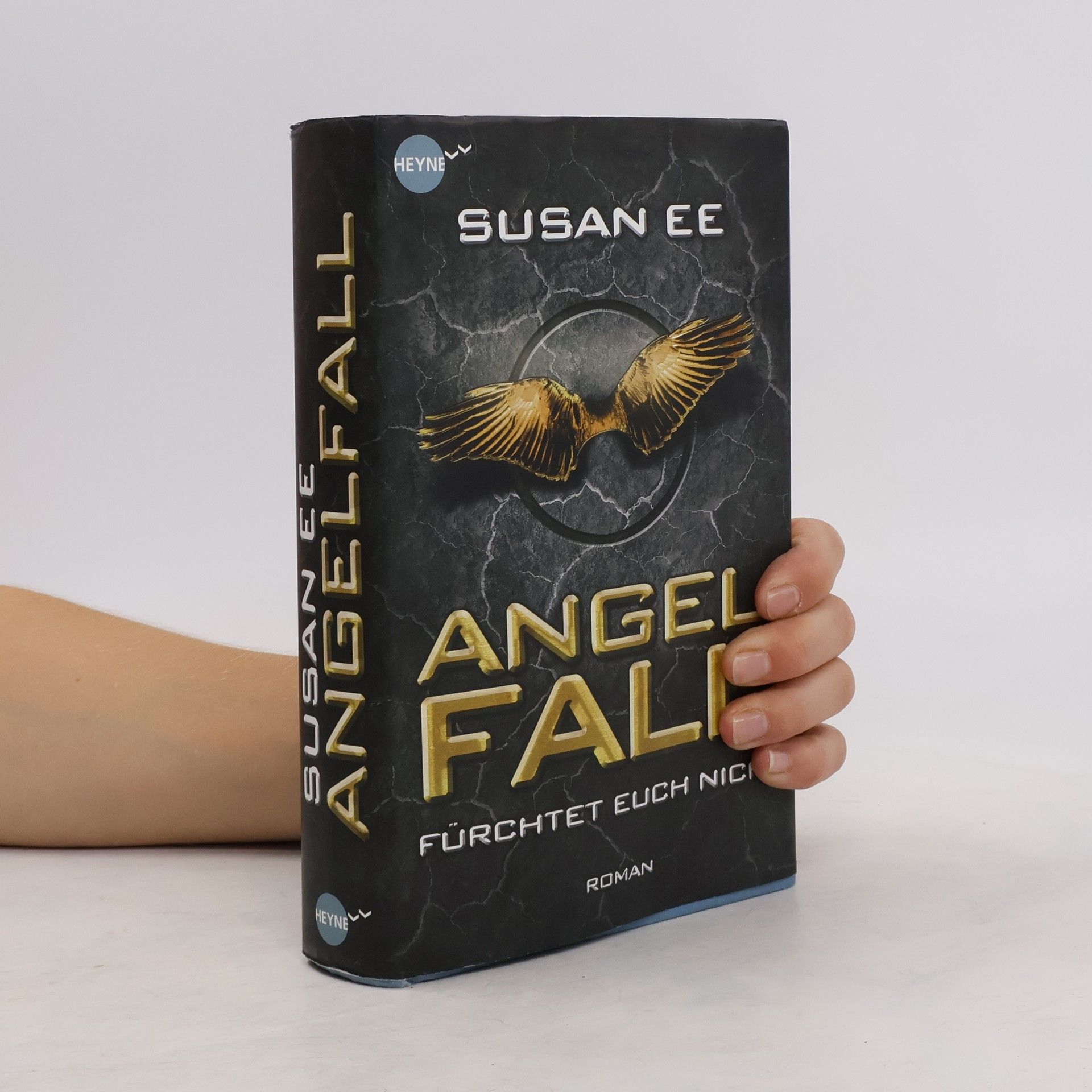 Susan Ee Angelfall