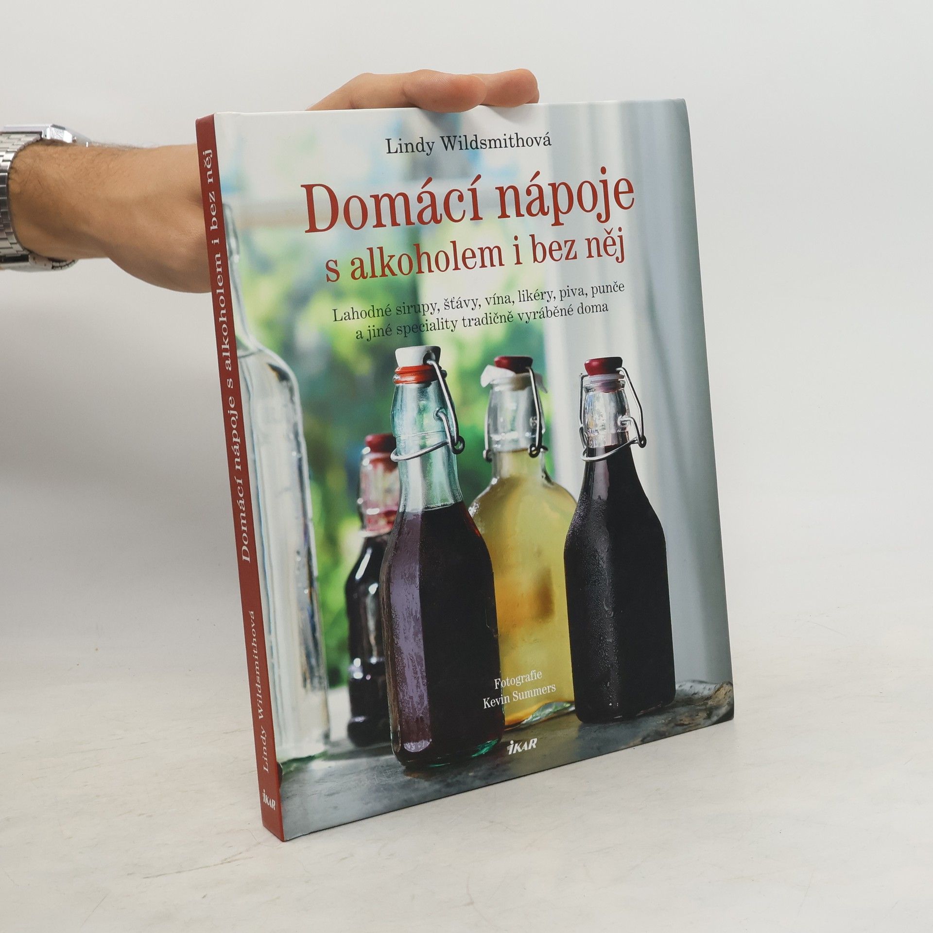 Lindy Wildsmith Domácí nápoje s alkoholem i bez něj