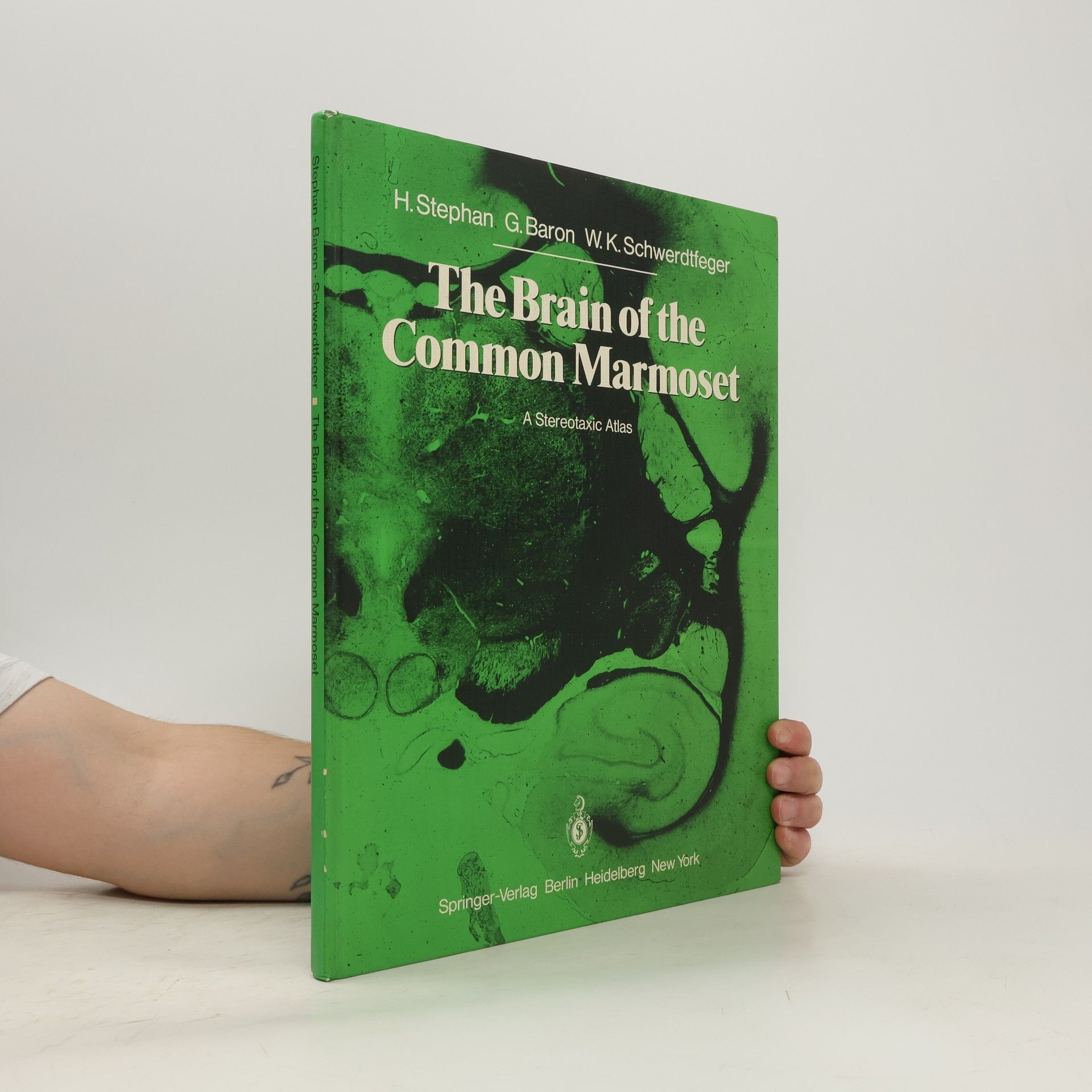 G. Baron The Brain of the Common Marmoset (Callithrix jacchus)