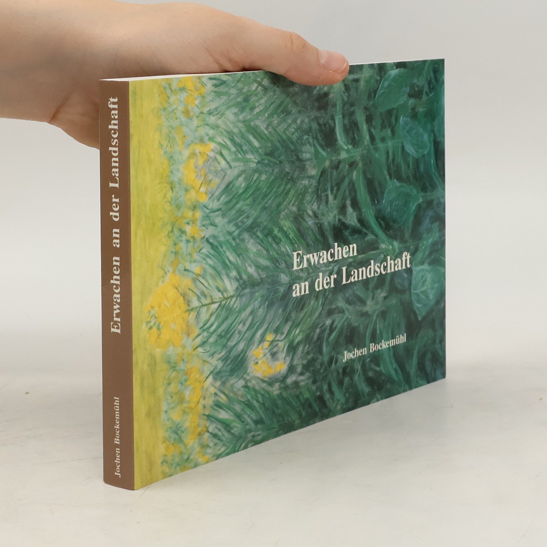 Jochen Bockemühl Erwachen an der Landschaft