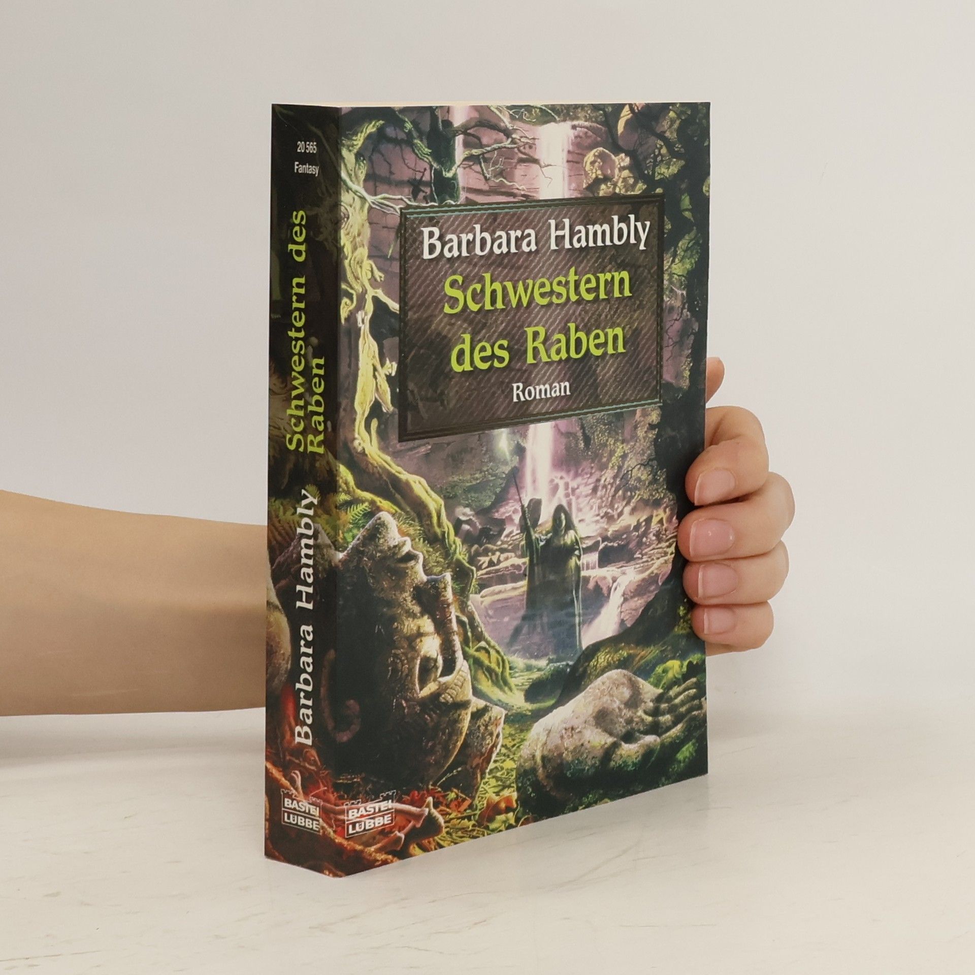 Barbara Hambly Schwestern des Raben