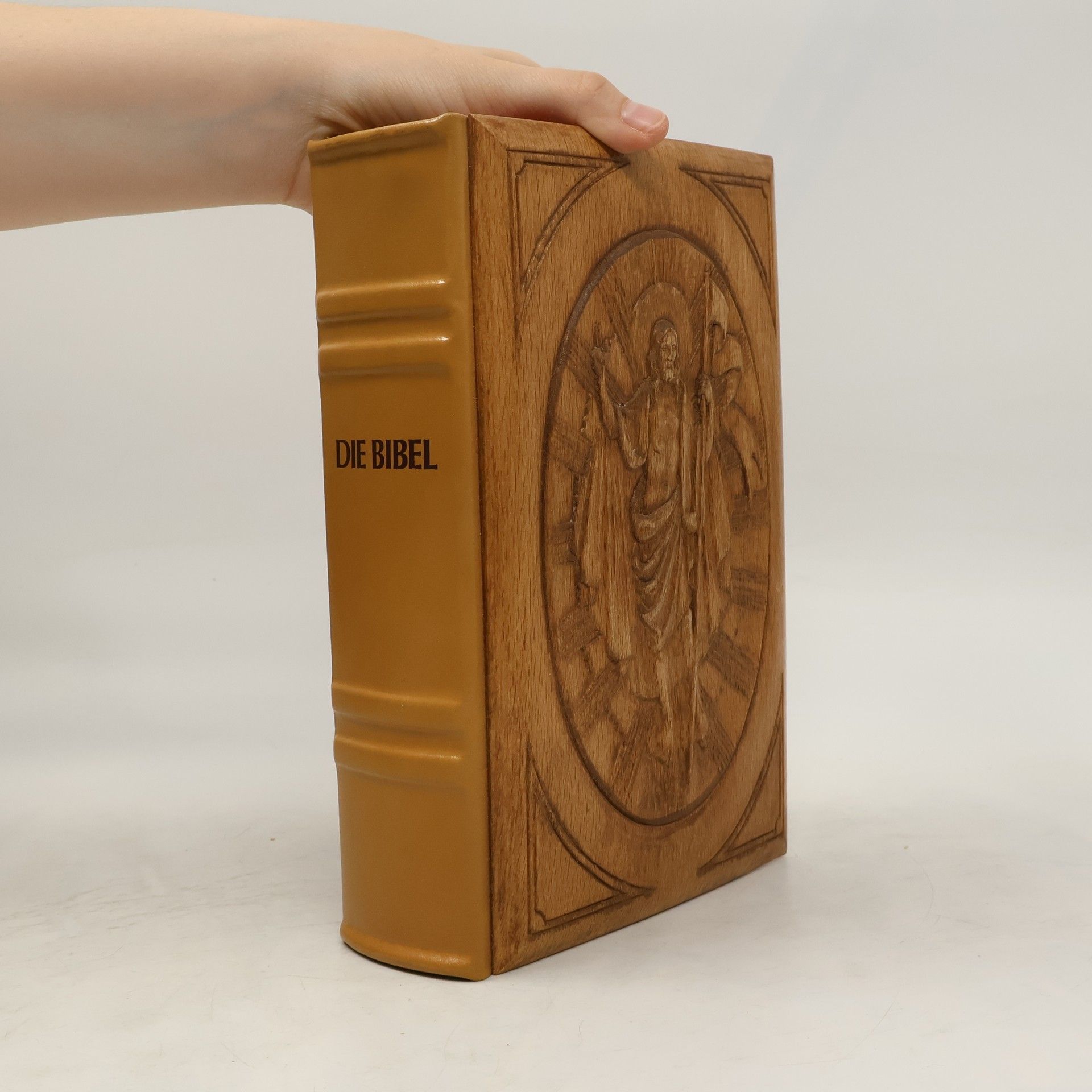 Auteurscollectief Die heilige Schrift