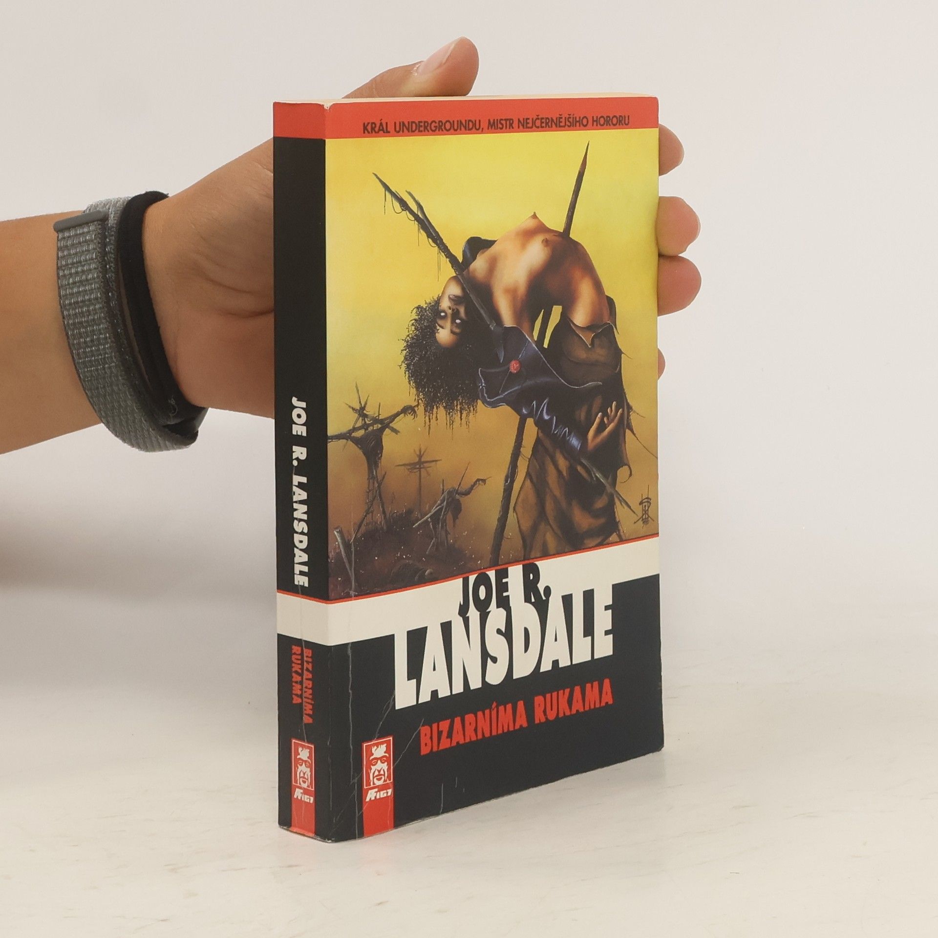 Joe R. Lansdale Bizarníma rukama