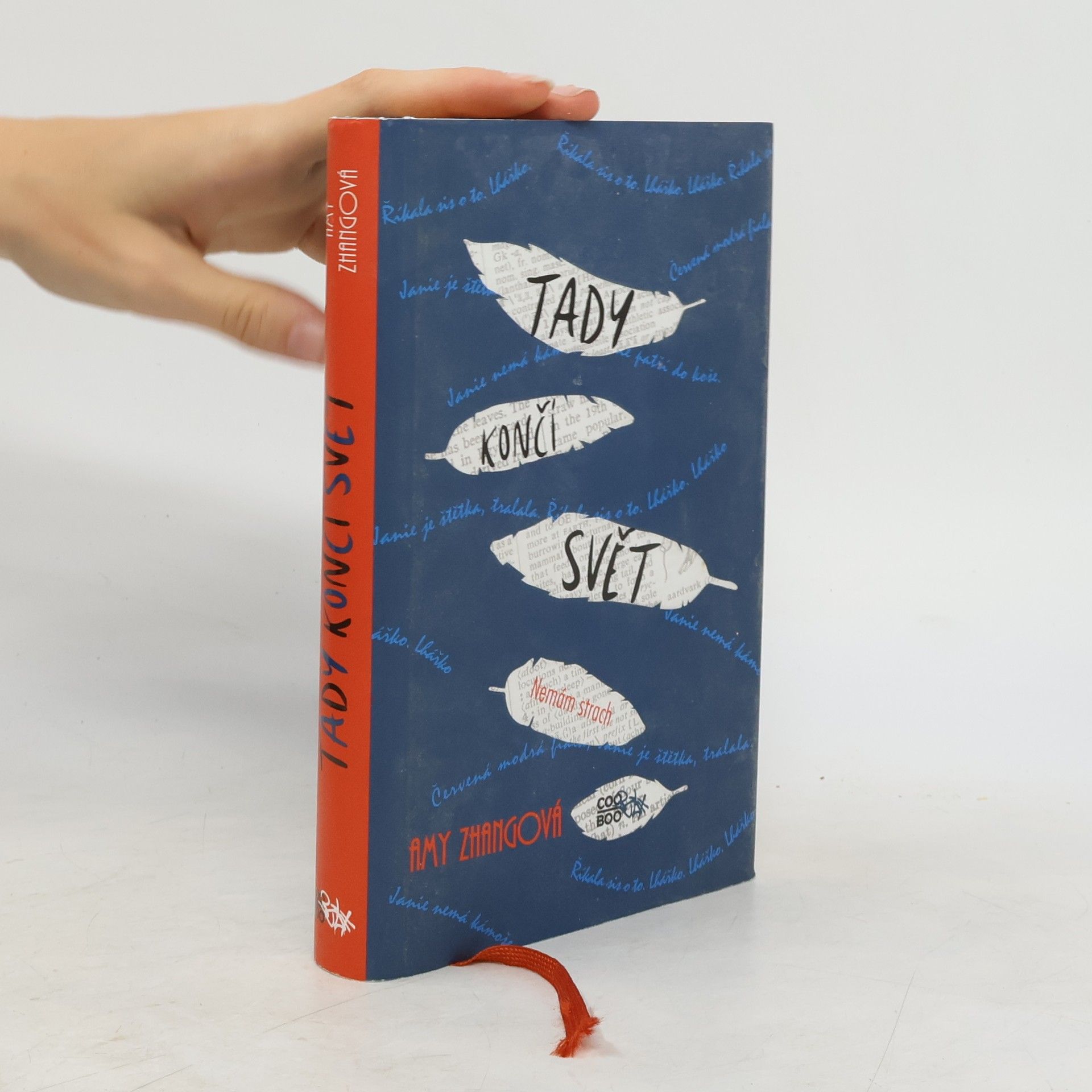 Amy Zhang Tady končí svět