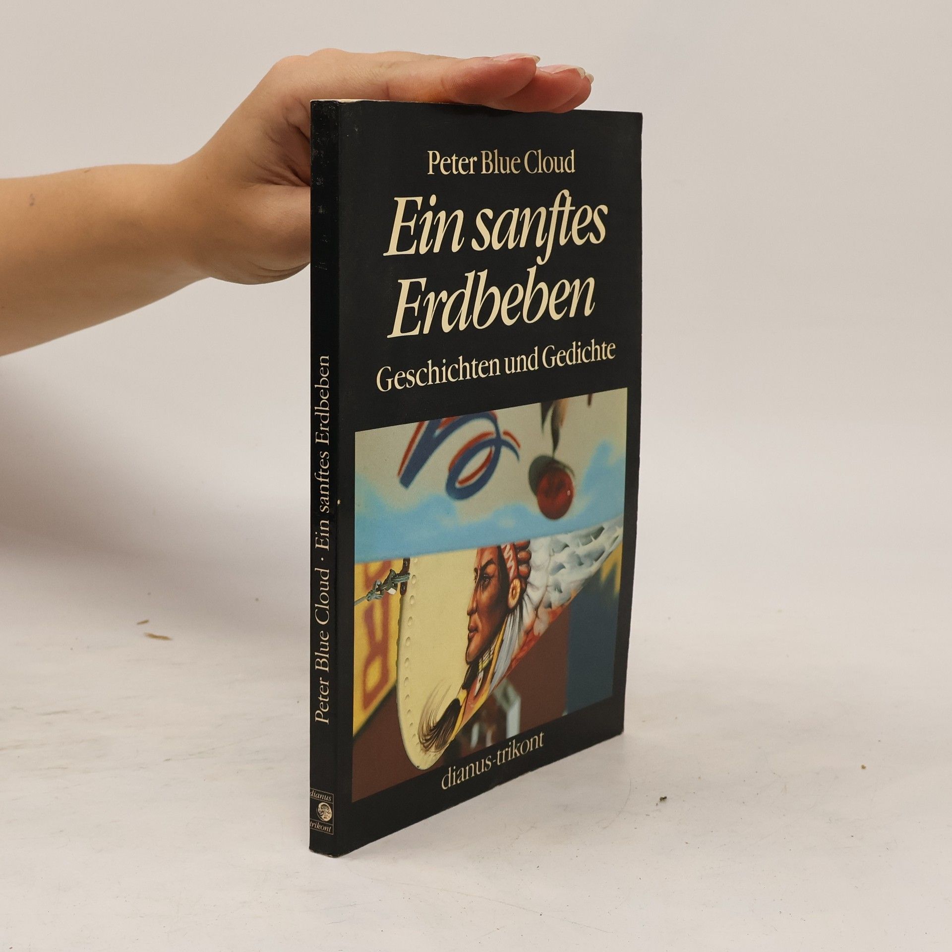 Ein sanftes Erdbeben. Geschichten und Gedichte