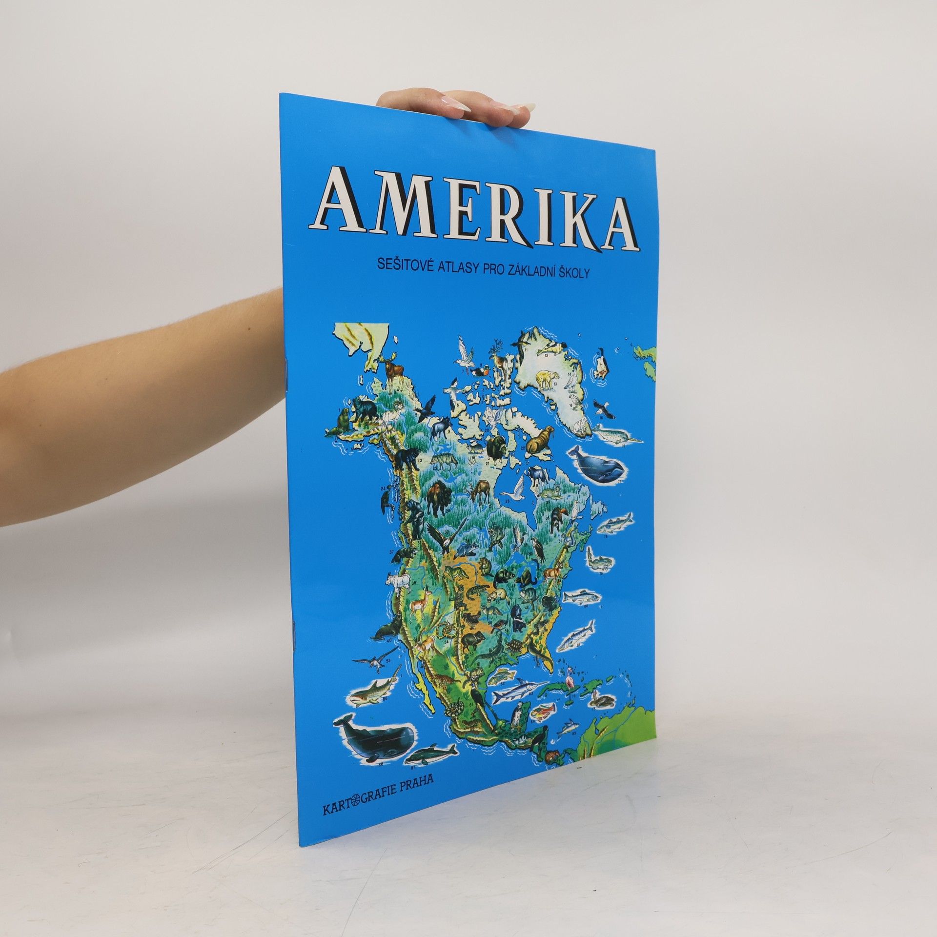 Autorenkollektiv Amerika