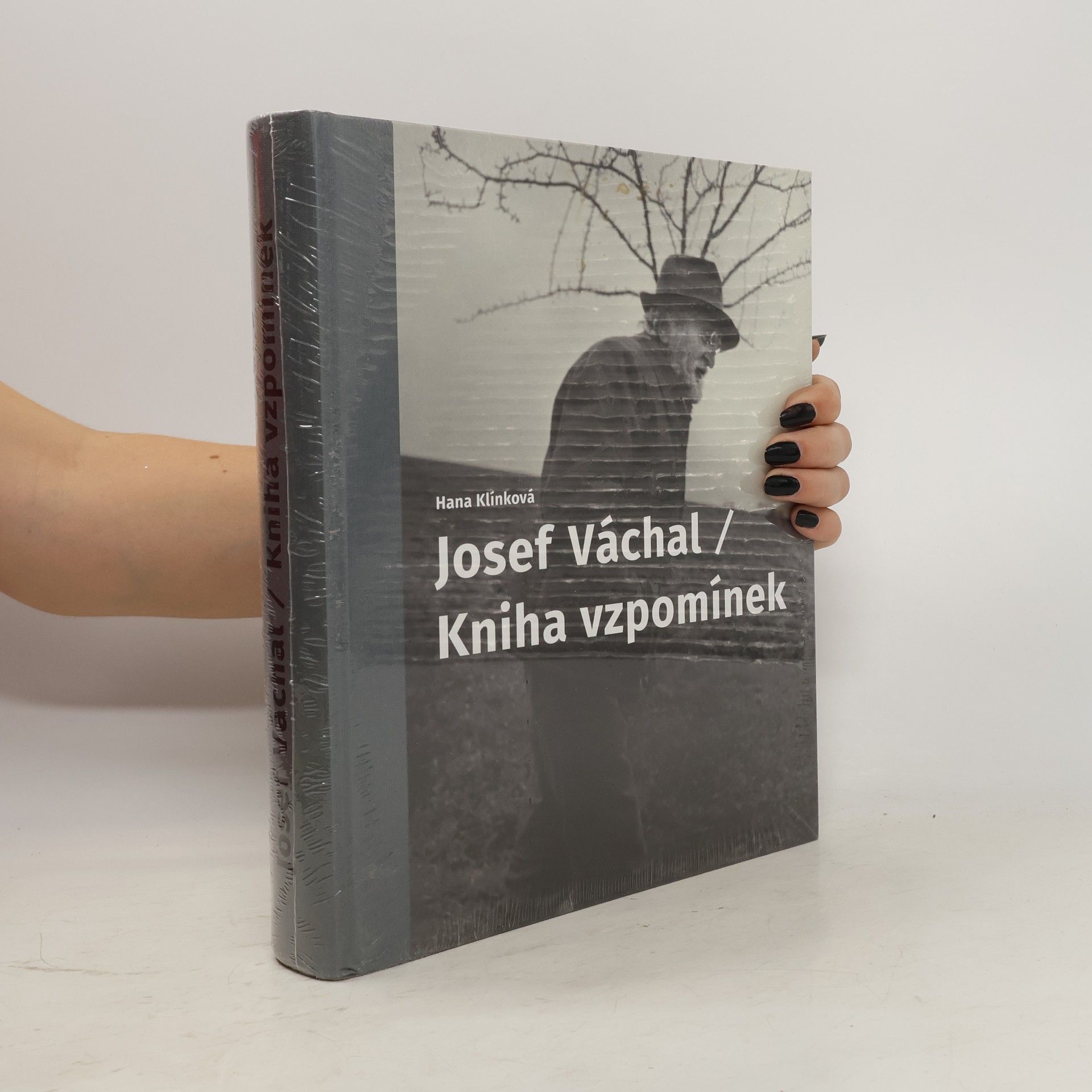Hana Klínková Josef Váchal / Kniha vzpomínek