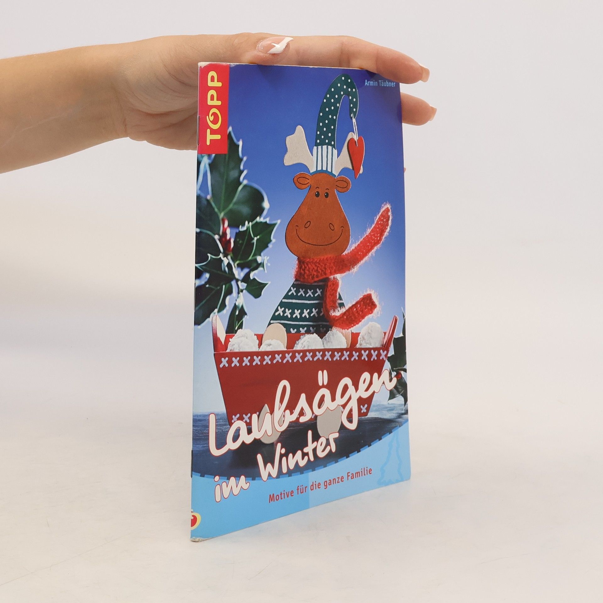 Autorenkollektiv Laubsägen im Winter