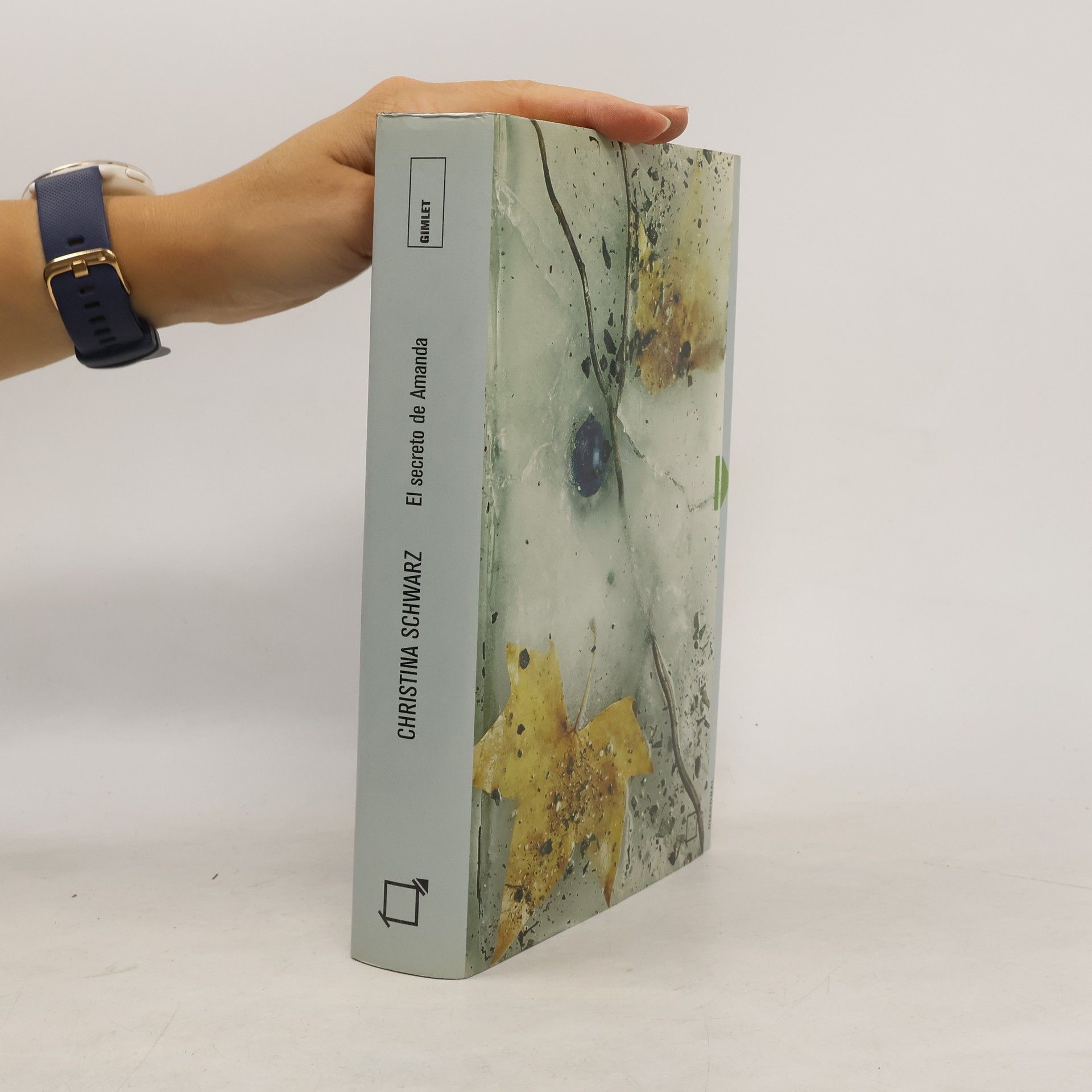 Cristina Schwarz El Secreto de Amanda