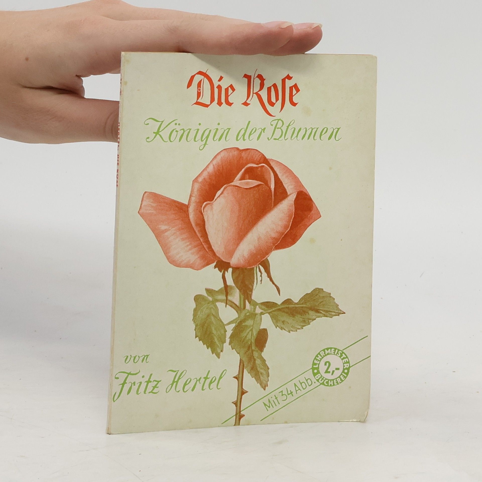 Fritz Hertel Die Rose