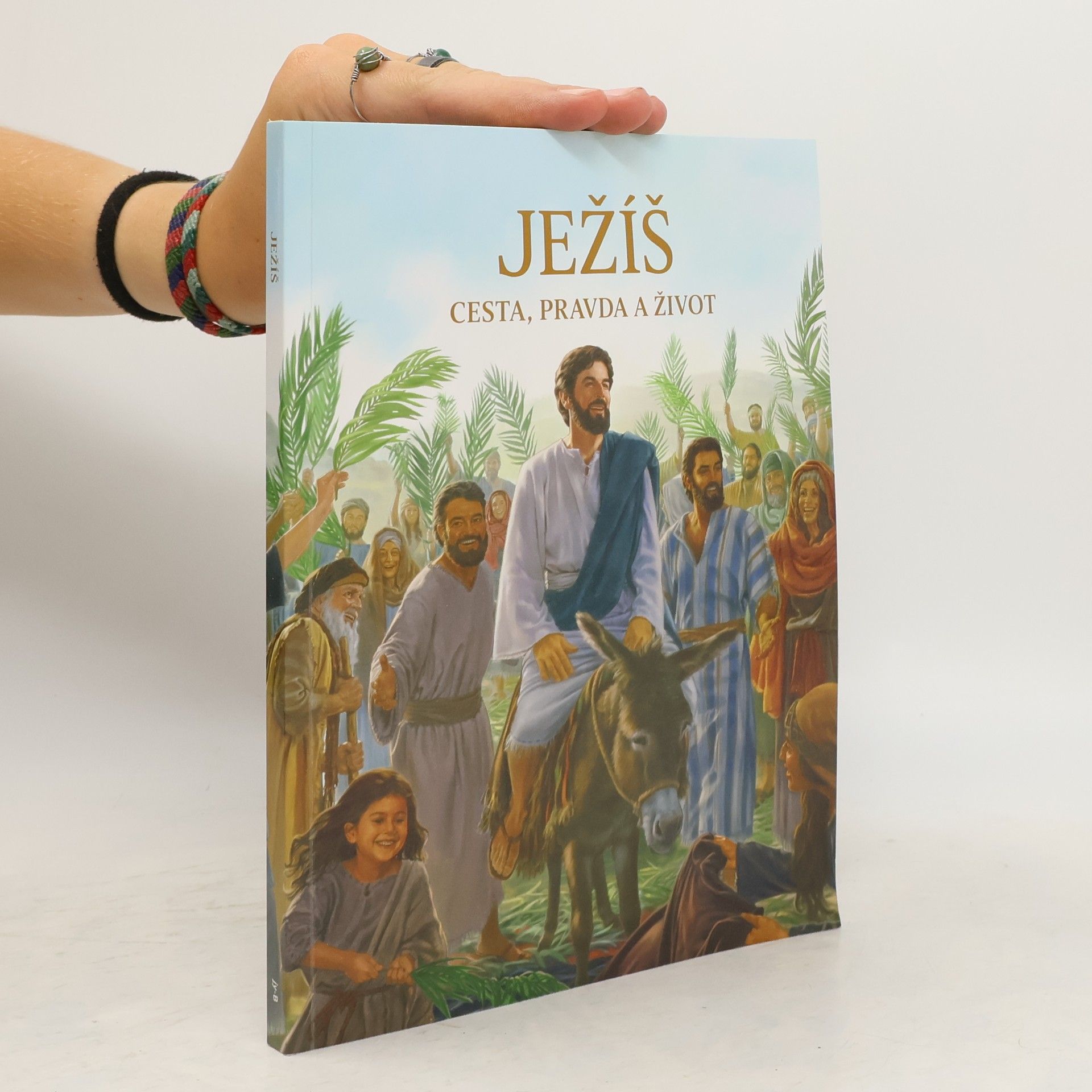 Kolektiv autorů Ježíš, cesta, pravda a život