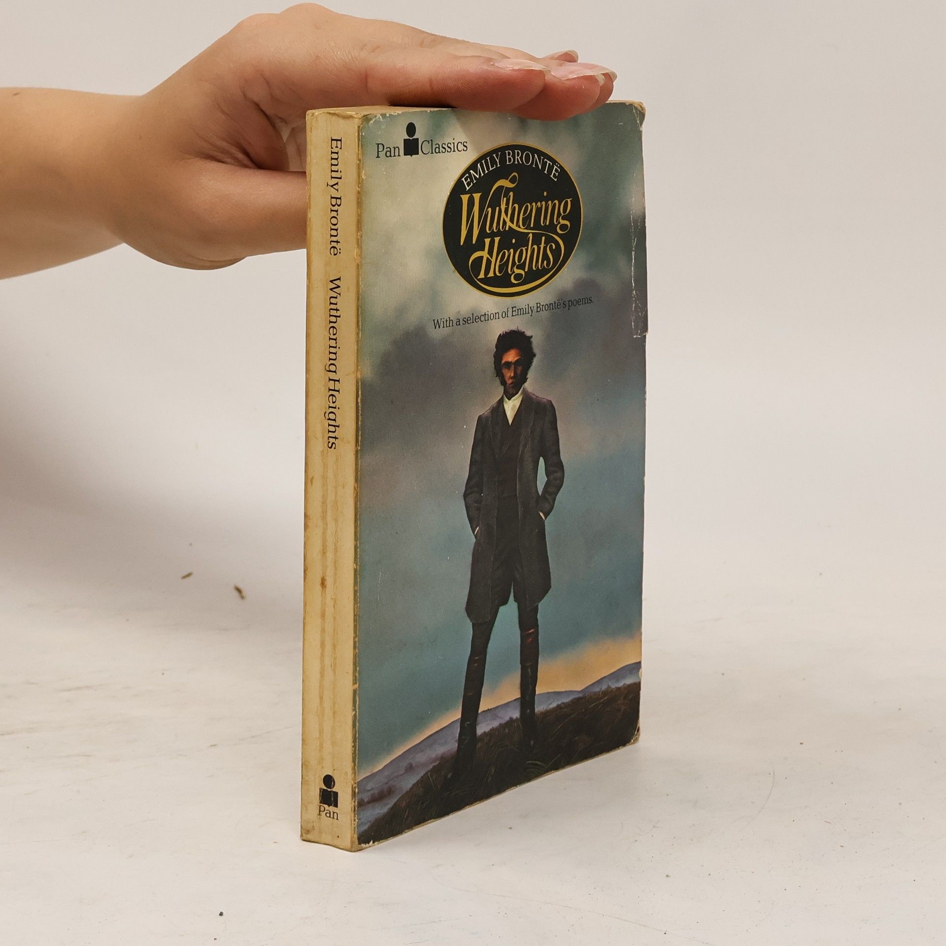 Emily Brontëová Classics: Wuthering Heights