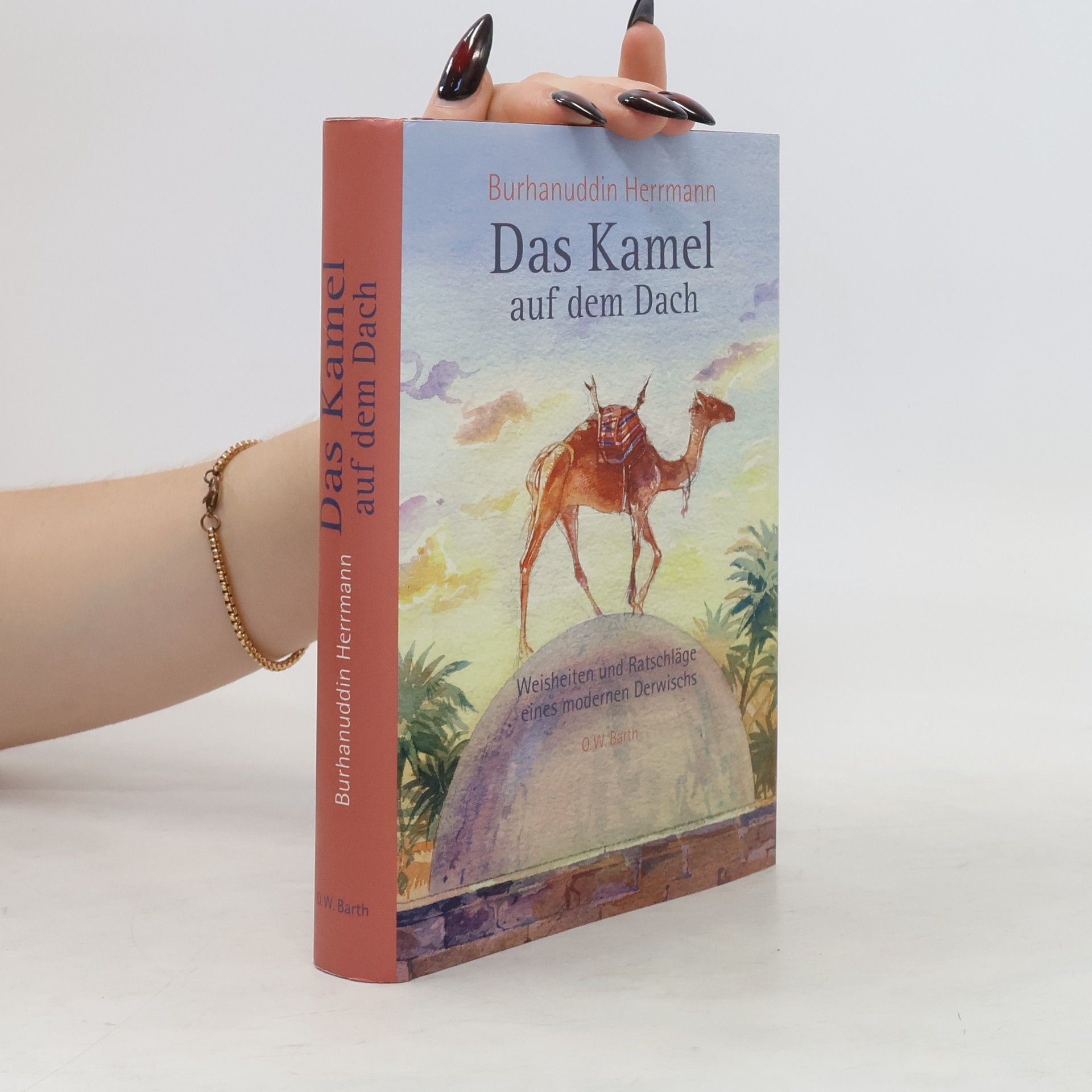 Burhanuddin Herrmann Das Kamel auf dem Dach