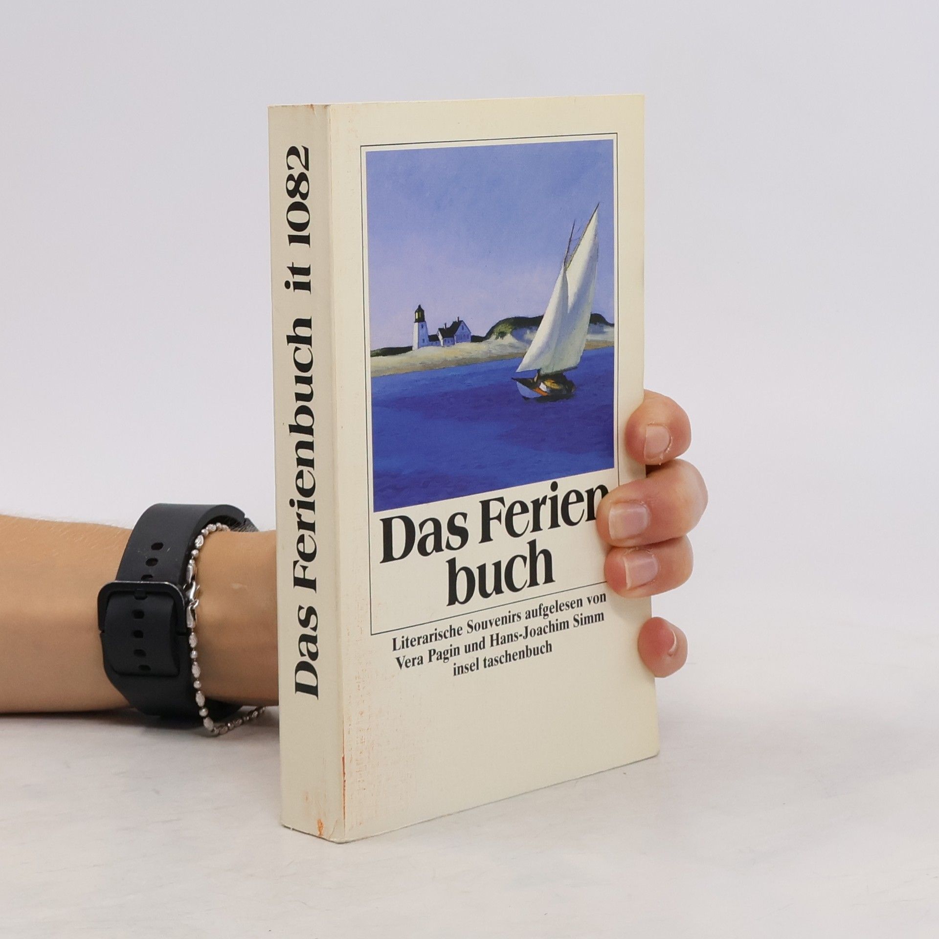 Vera Pagin Das Ferienbuch