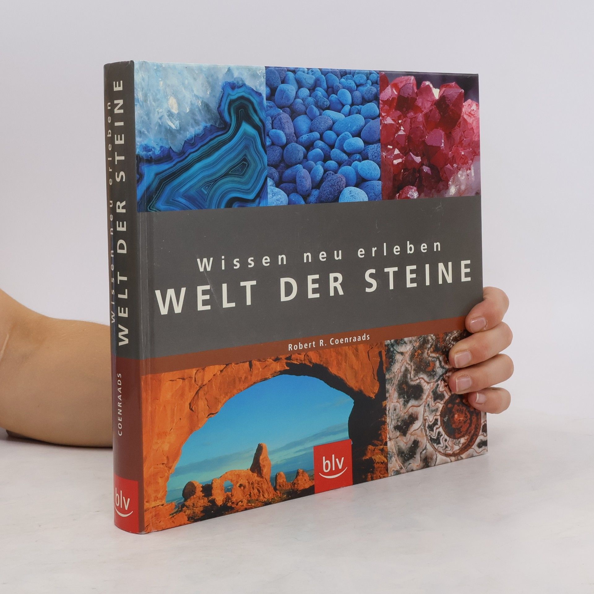 Robert Raymond Coenraads Welt der Steine