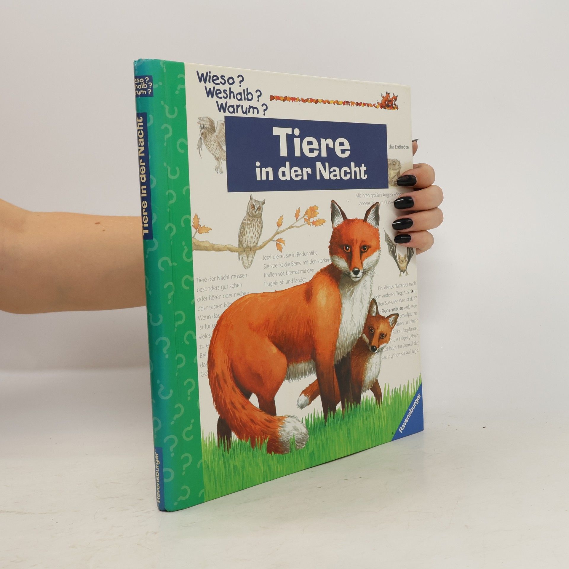 Anne Ebert Tiere in der Nacht