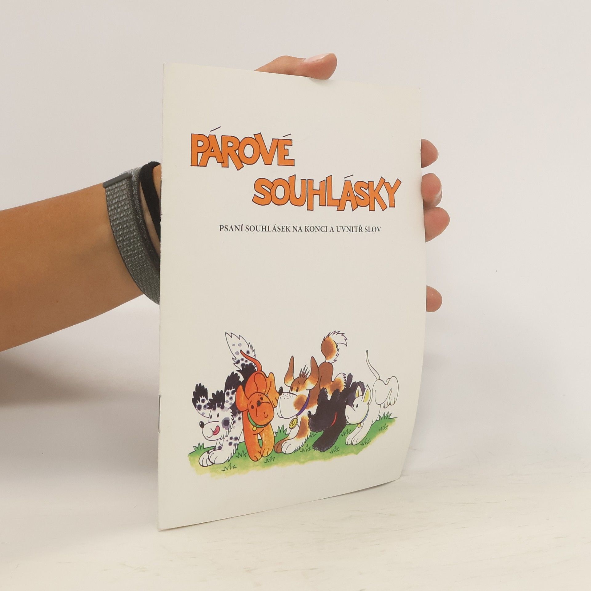 Kolektív autorov Párové souhlásky