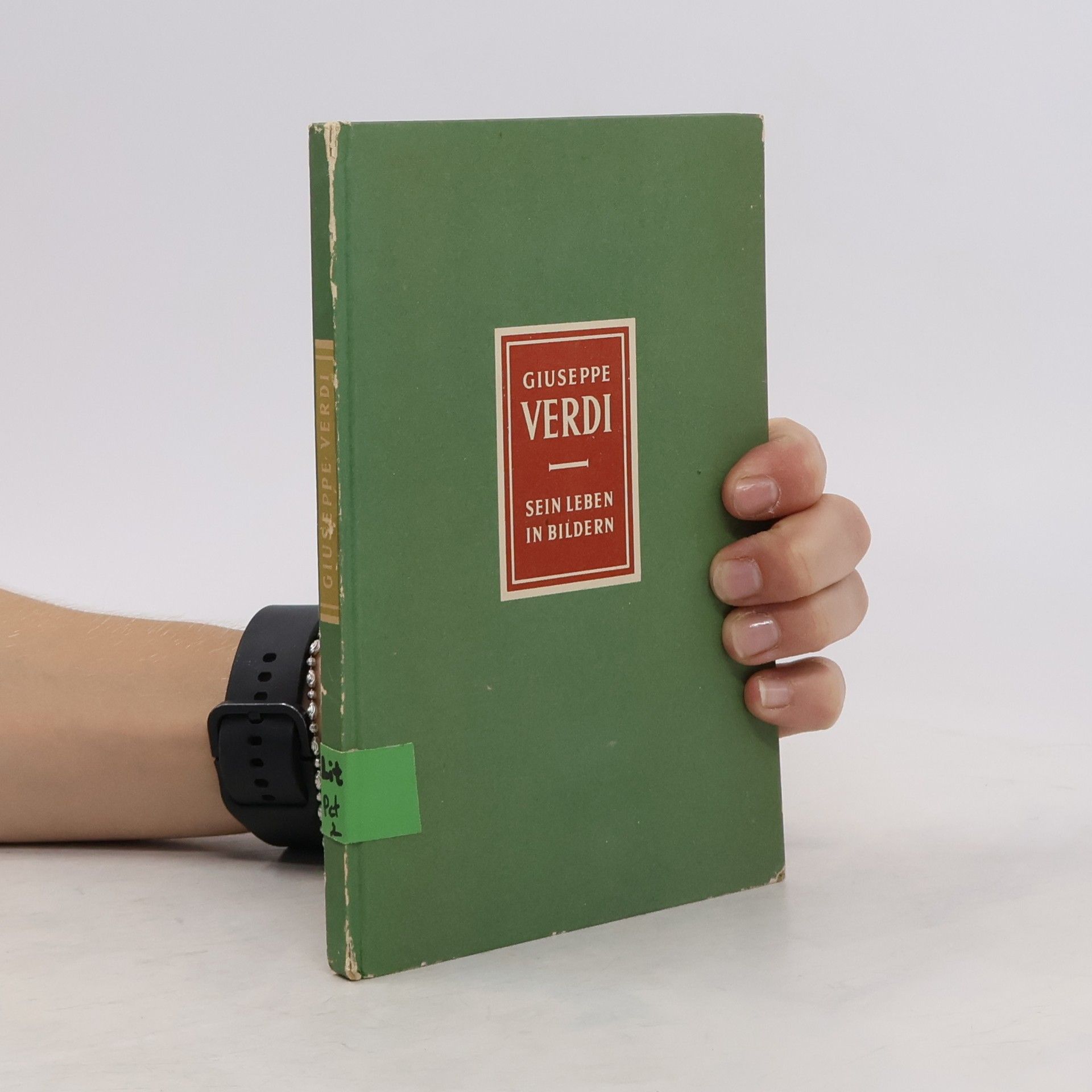 Giuseppe Verdi Sein Leben in Bildern