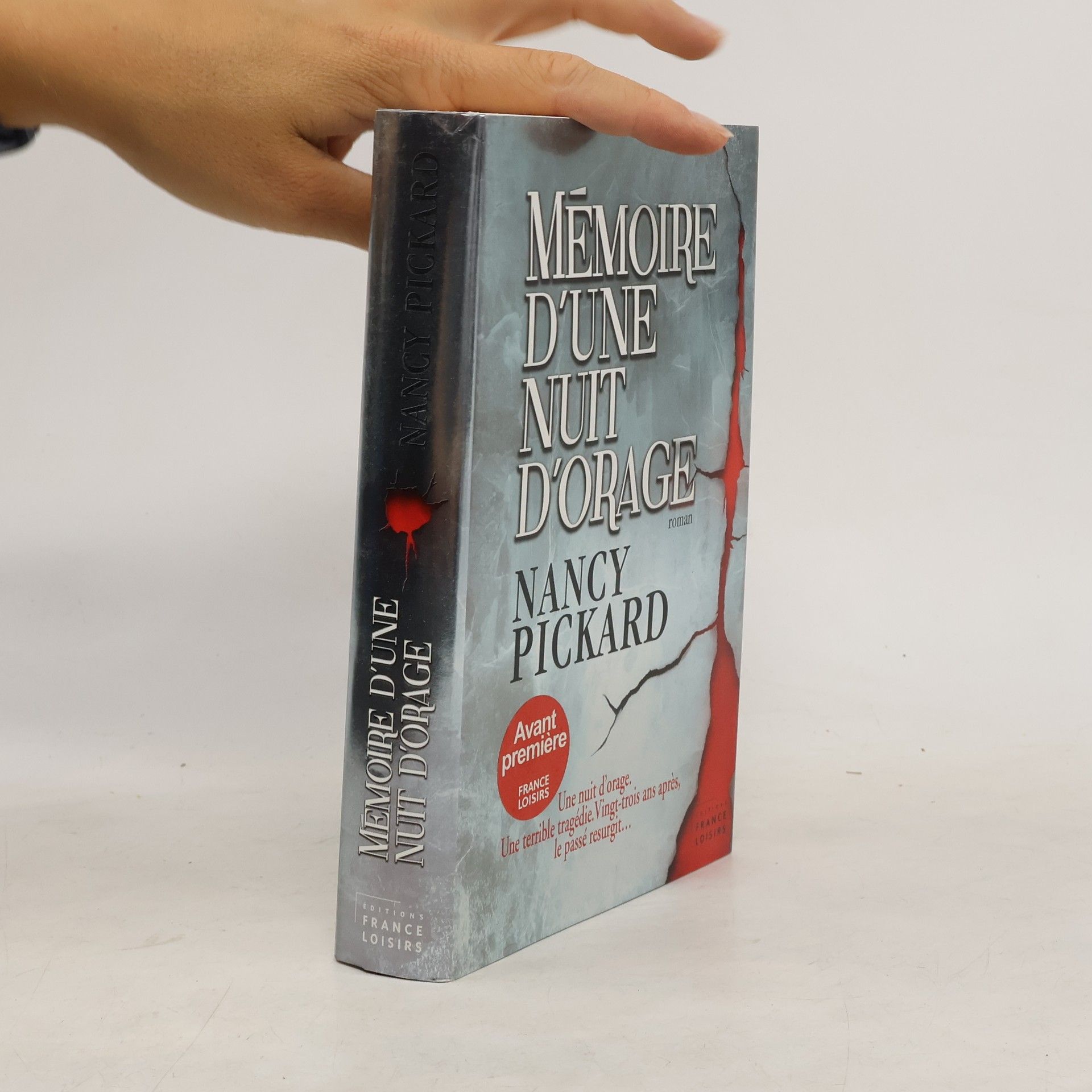 Nancy Pickard Mémoire d'une nuit d'orage