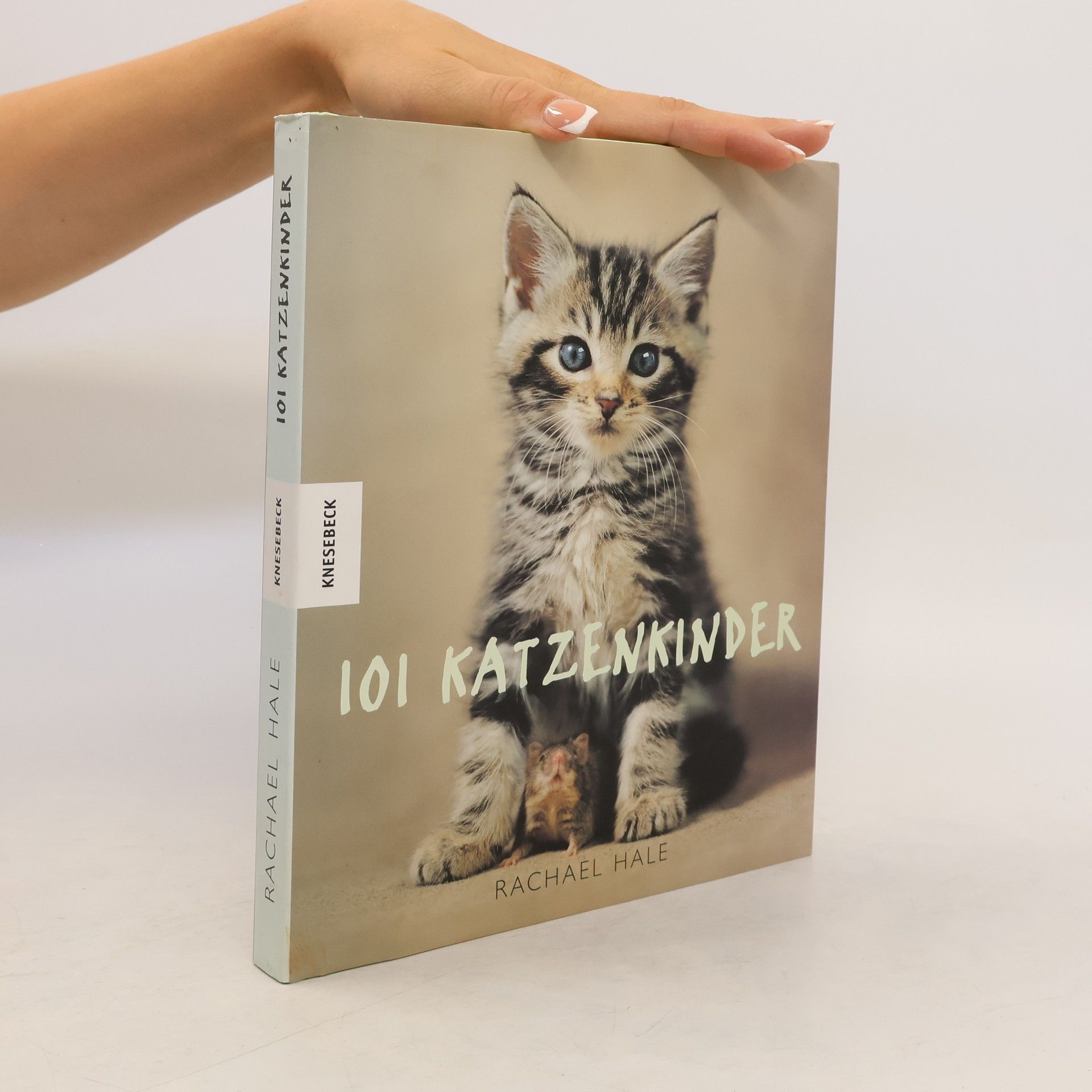 Rachael McKenna 101 Katzenkinder
