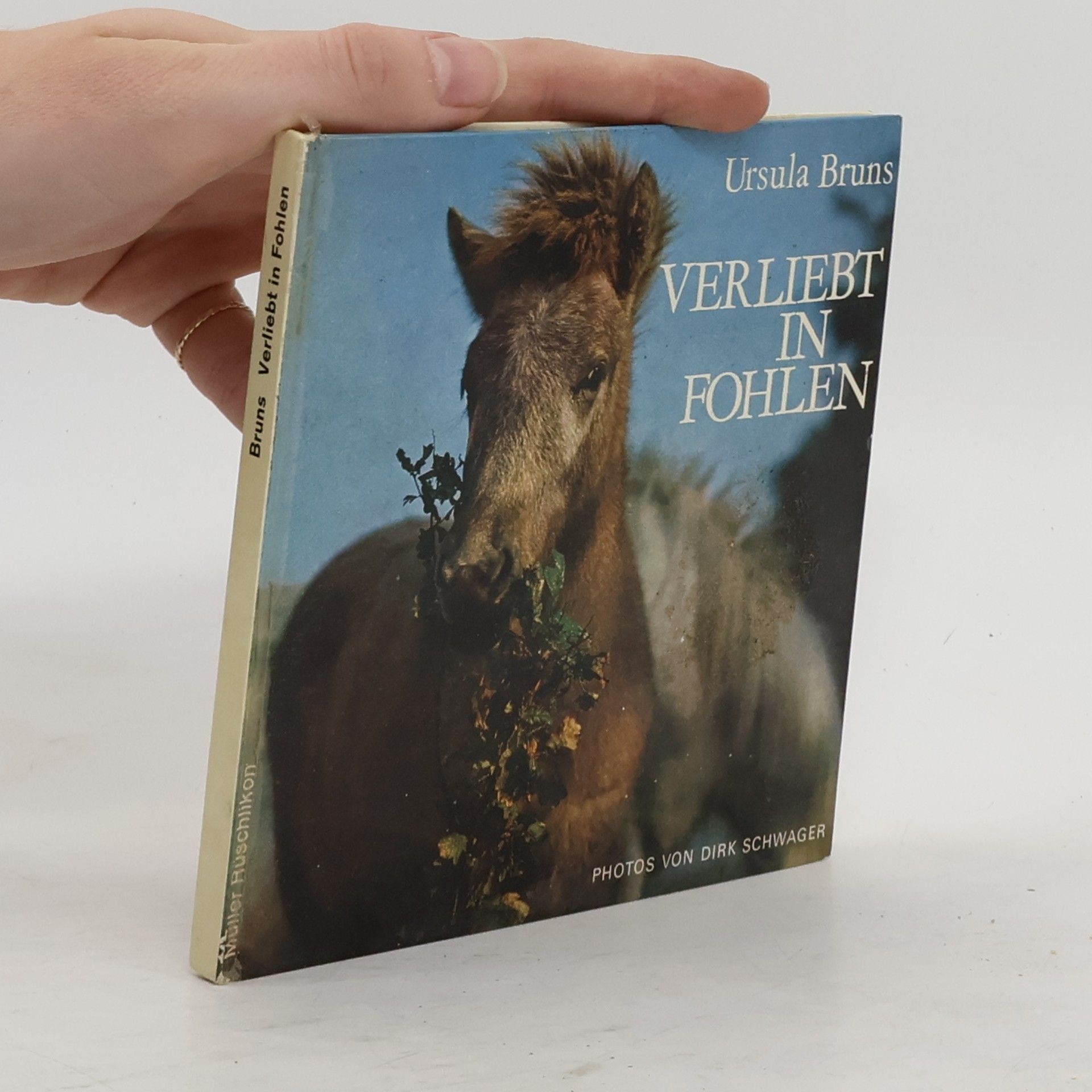 Ursula Bruns Verliebt in Fohlen