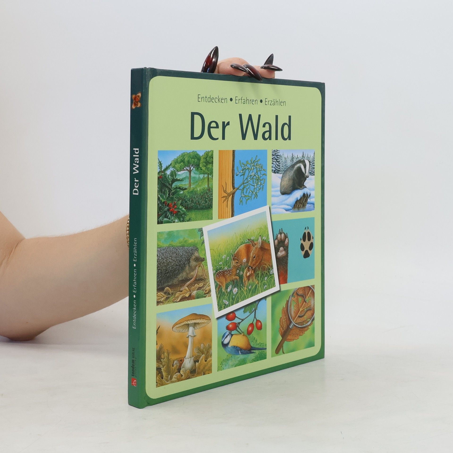 Autorenkollektiv Der Wald