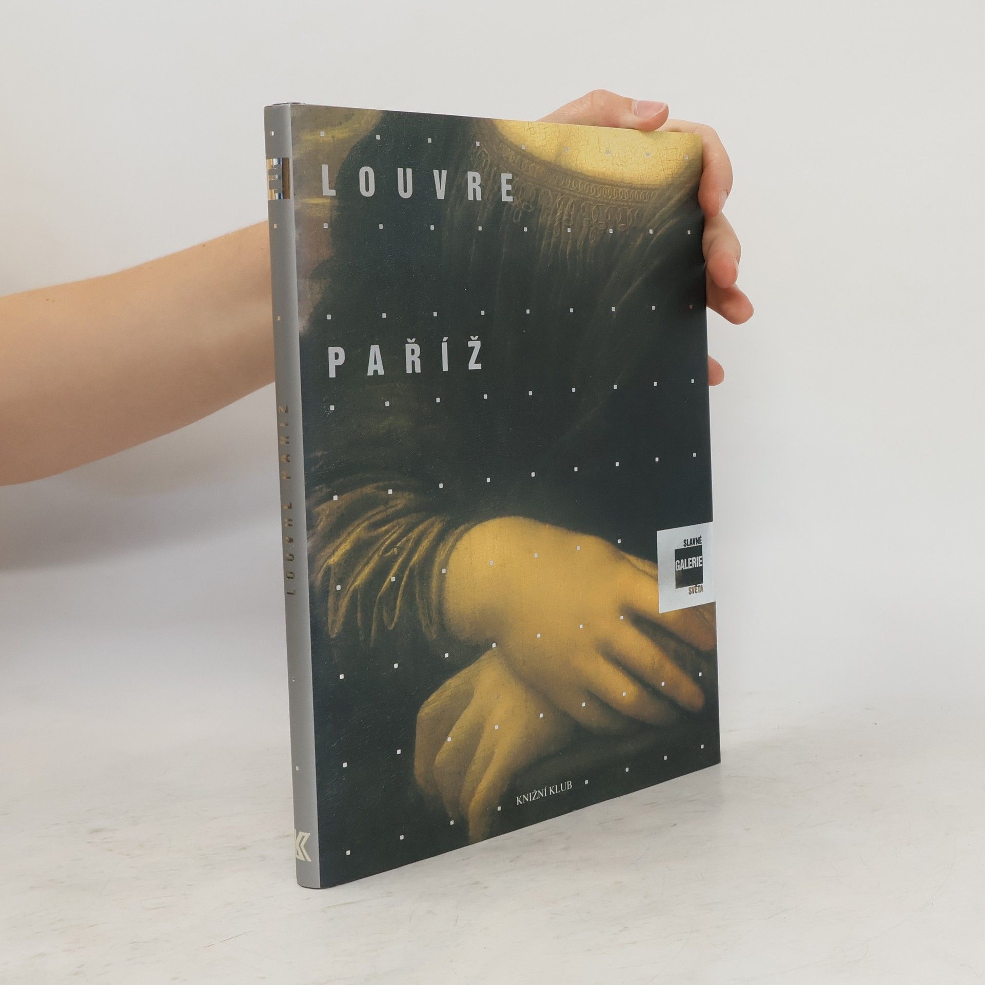 Alessandra Fregolent Slavné galerie světa. Louvre - Paříž