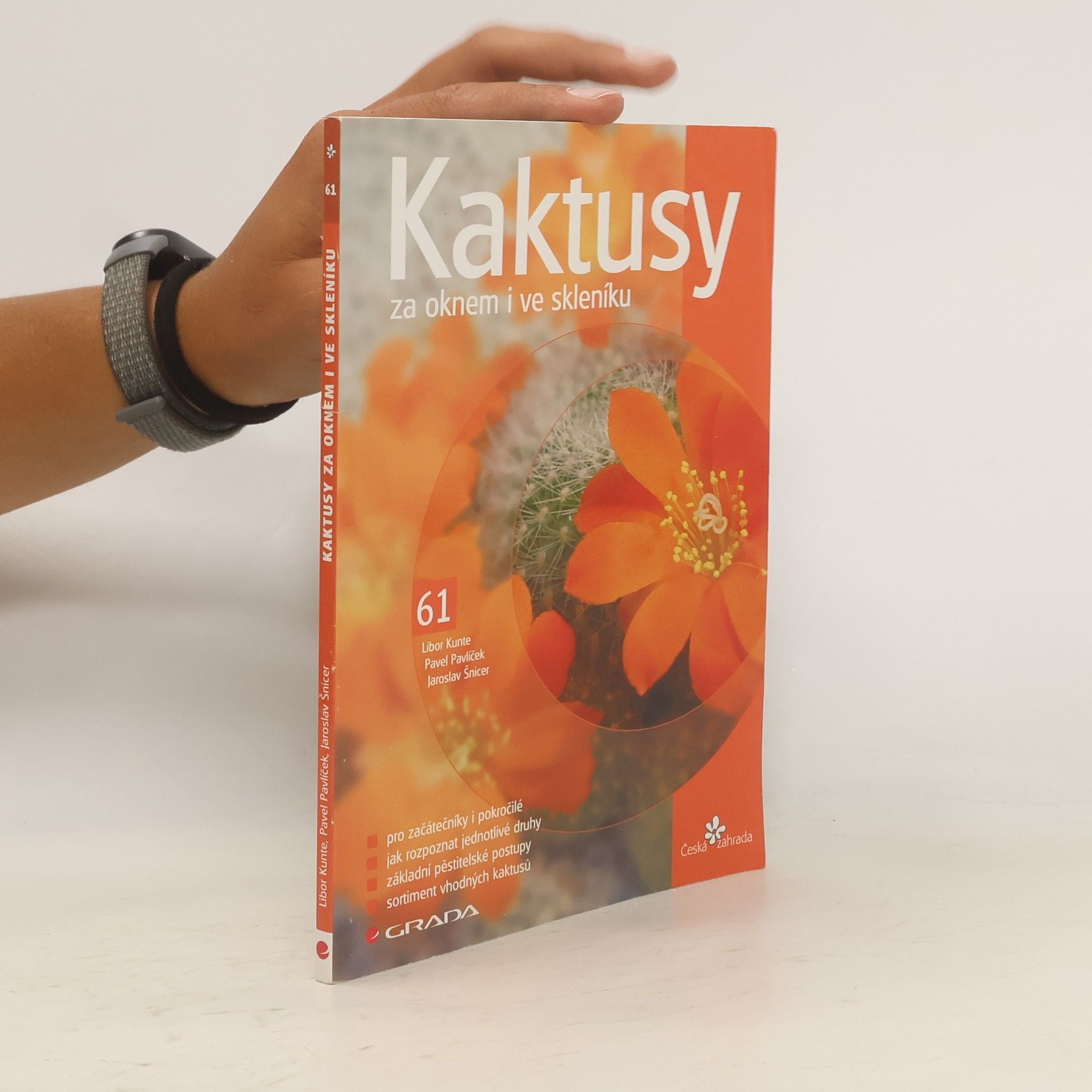 Kaktusy za oknem i ve skleníku