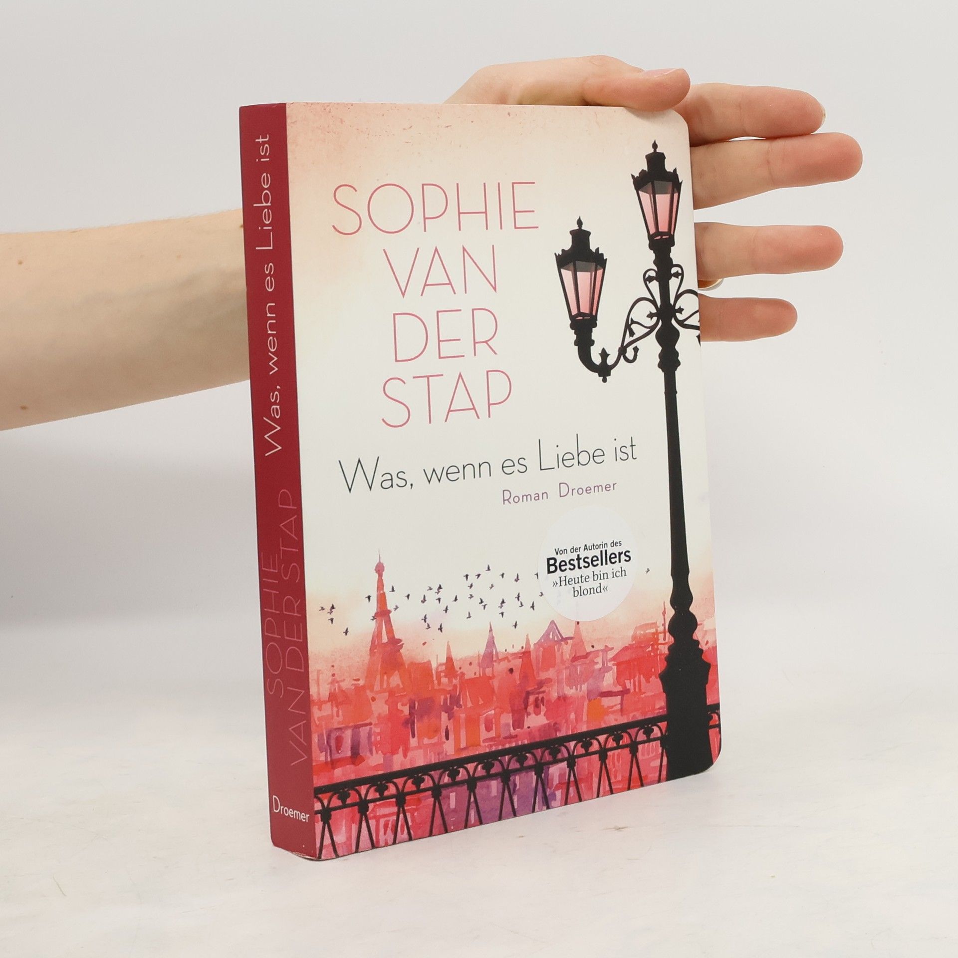 Sophie van der Stap Was, wenn es Liebe ist