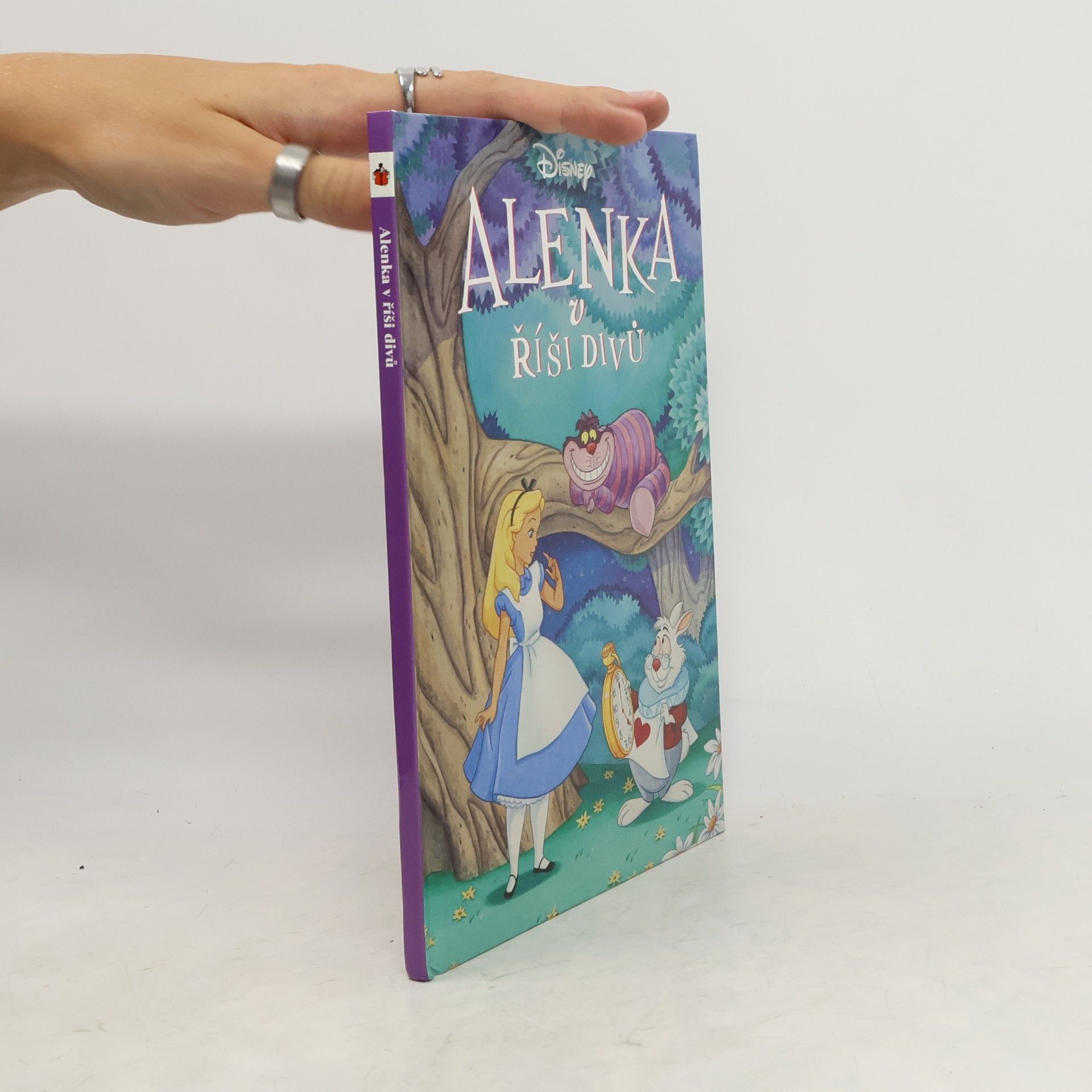 Autorenkollektiv Alenka v říši divů