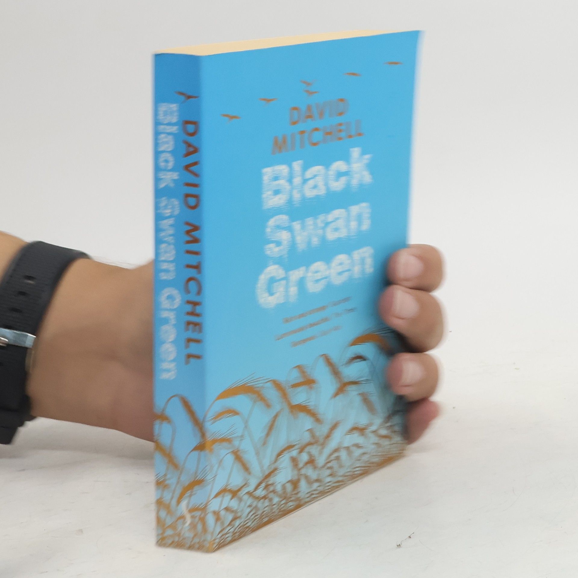 David Mitchell Black swan green